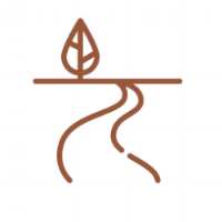 Improve the health of the river.