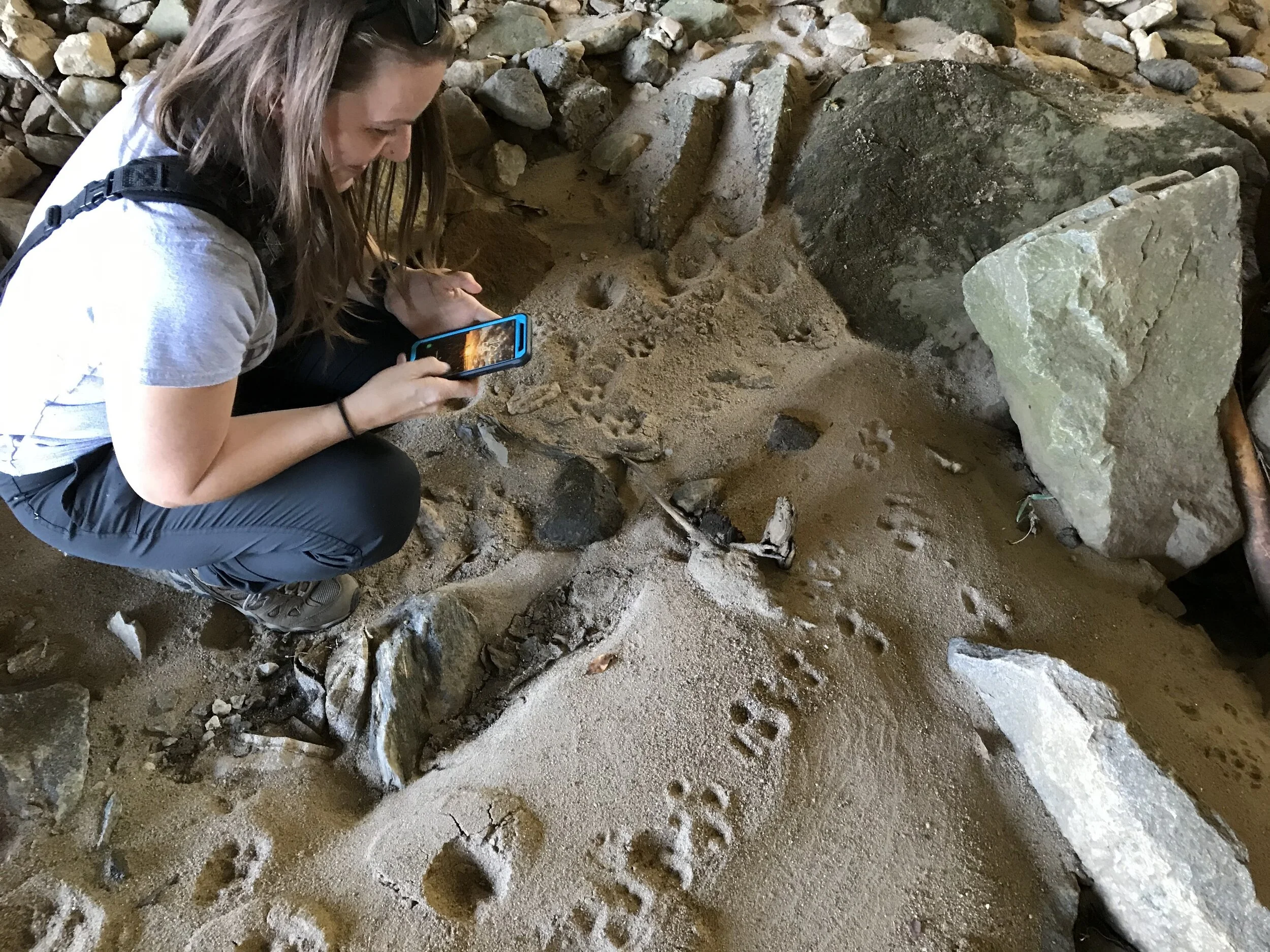 Perspectives on the Shutdown: Wetlands &amp; Wildlife