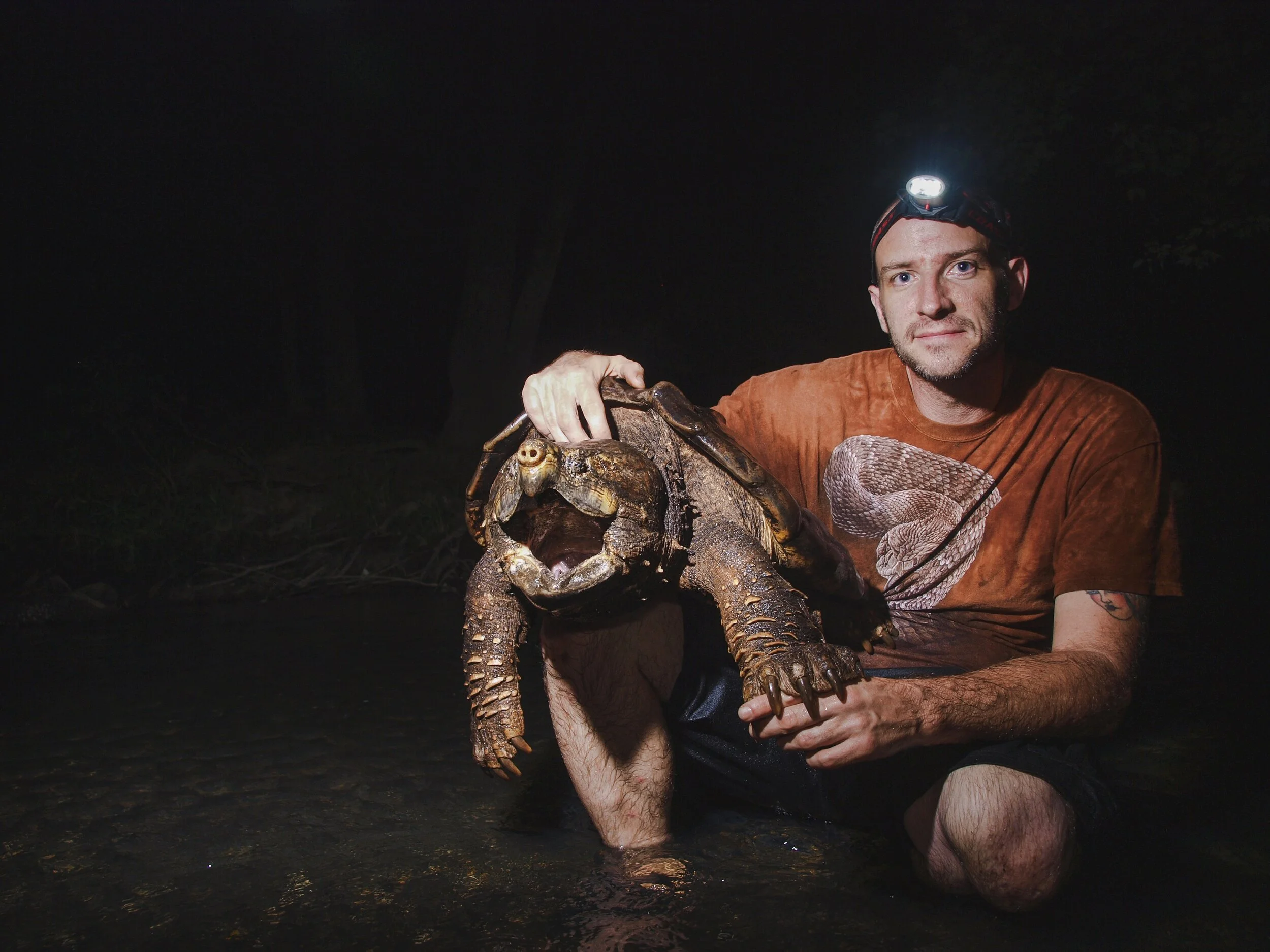 Perspectives on the Shutdown: Turtles