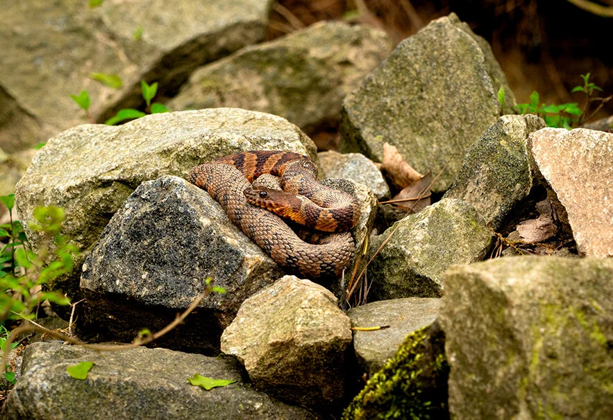 Finally, A Little Respect for Mud Creek 