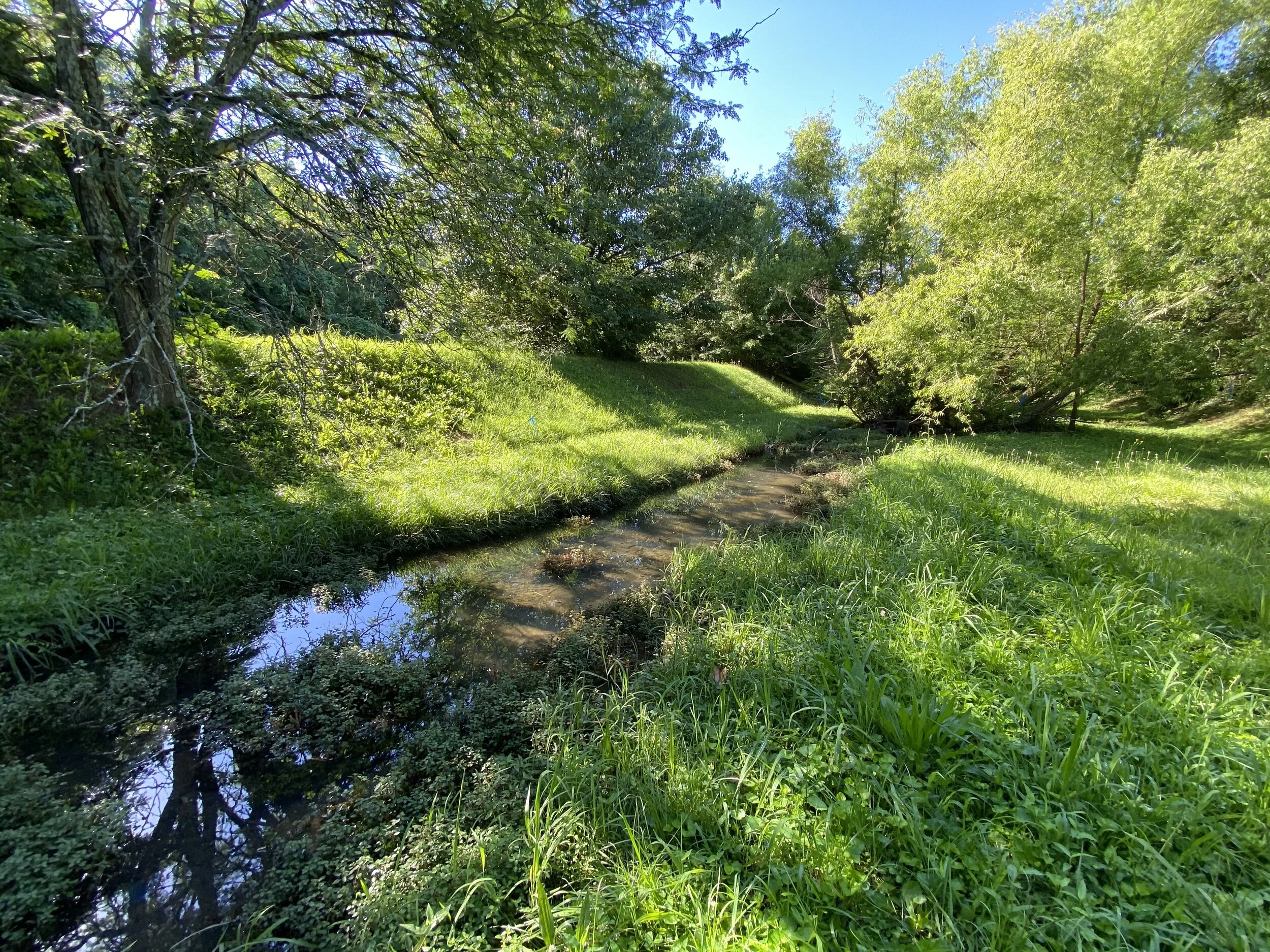 A Nature Preserve by the Airport