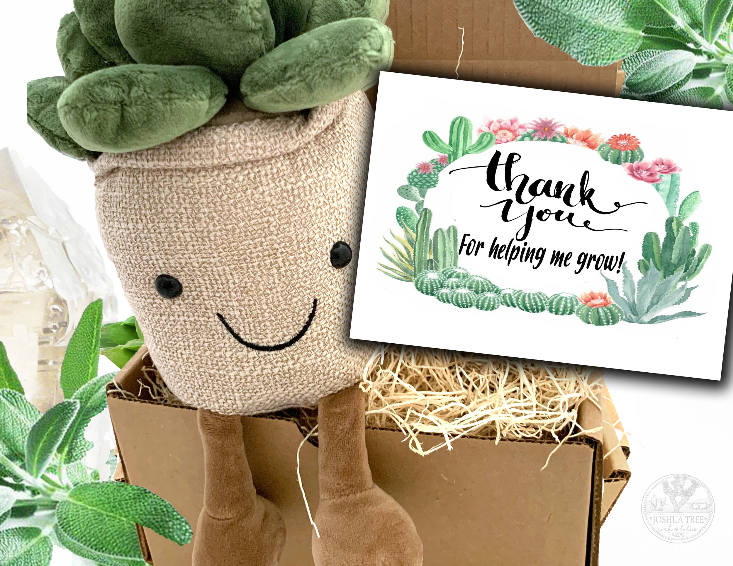 Thank you for helping me grow - plushie gift box with card