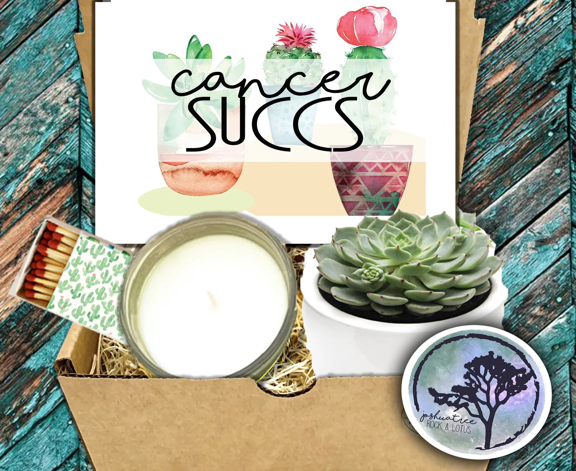 Cancer Succs - Succulent, Card &amp; Candle Gift Box  
