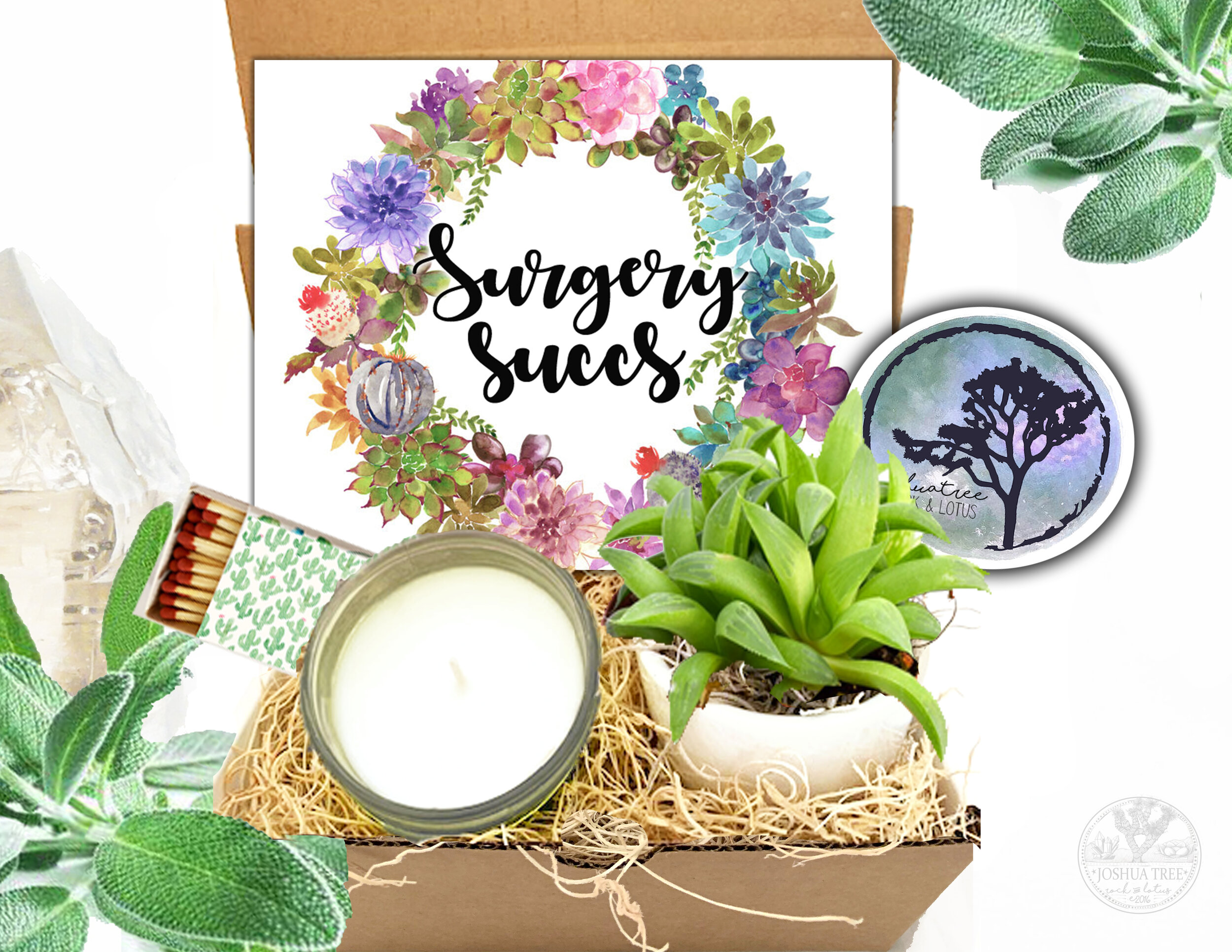 Surgery Succs - Succulent, Card &amp; Candle Gift Box    