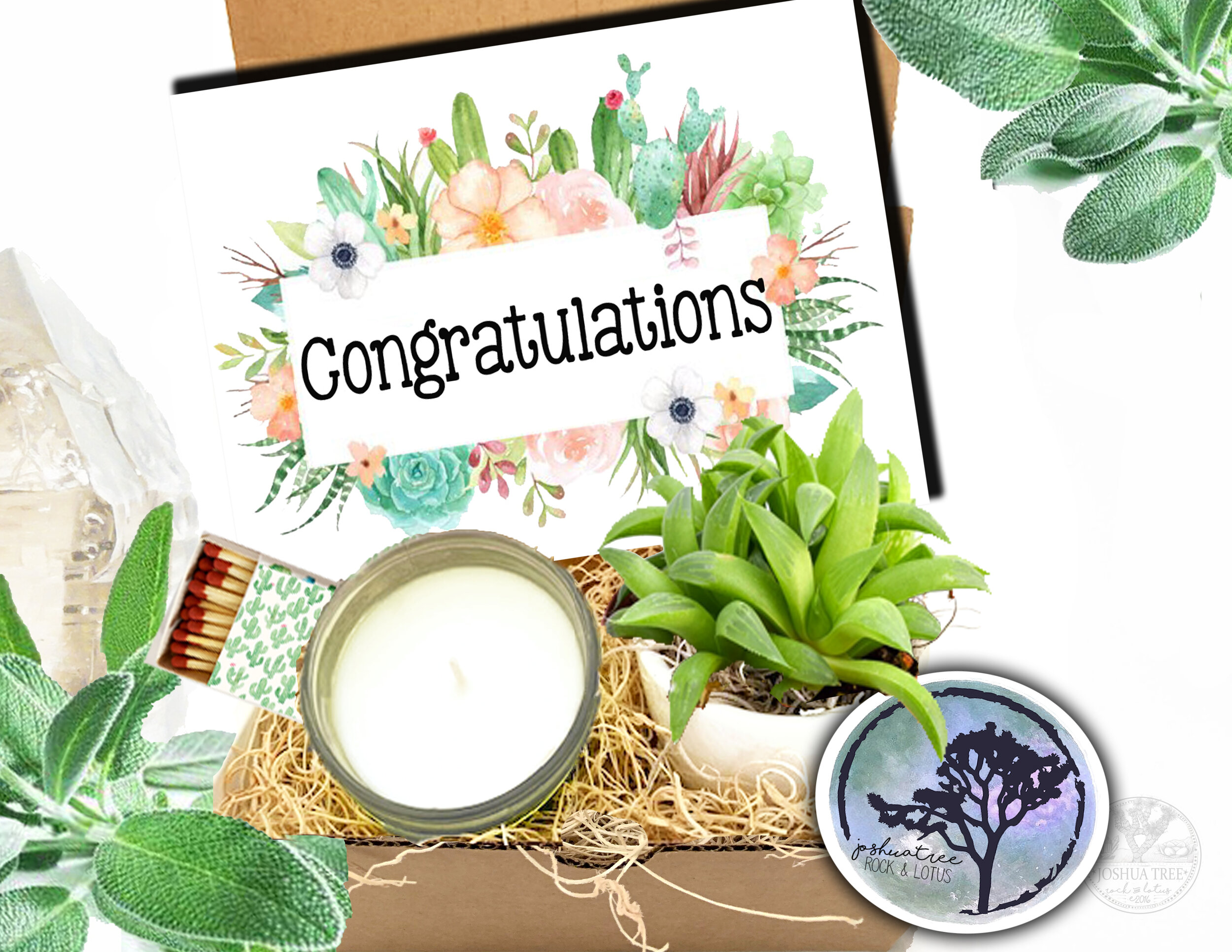 Congratulations  -  Succulent, Card &amp; Candle Gift Box  