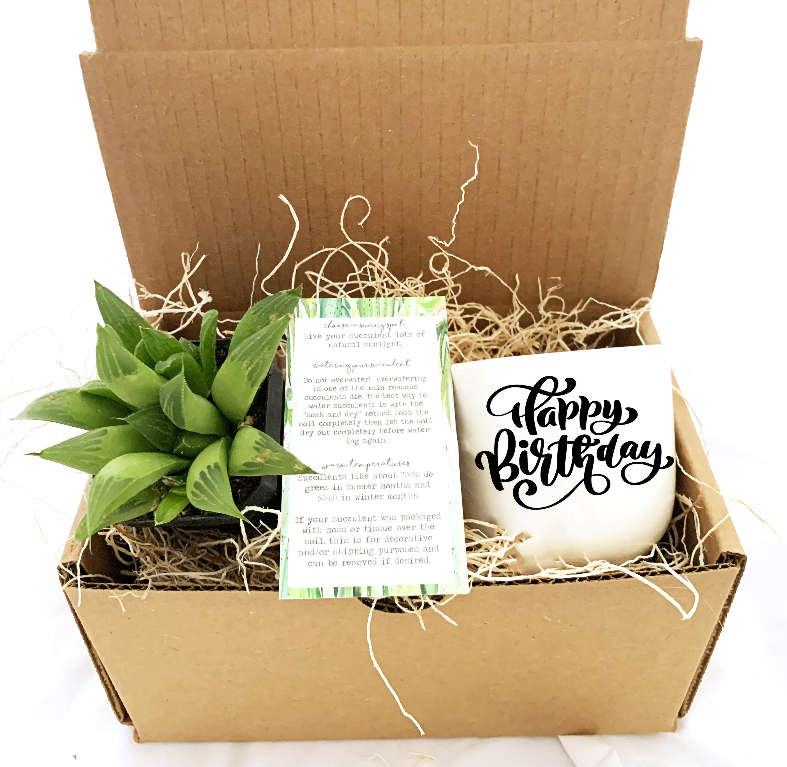 Happy Birthday Succulent and Pot