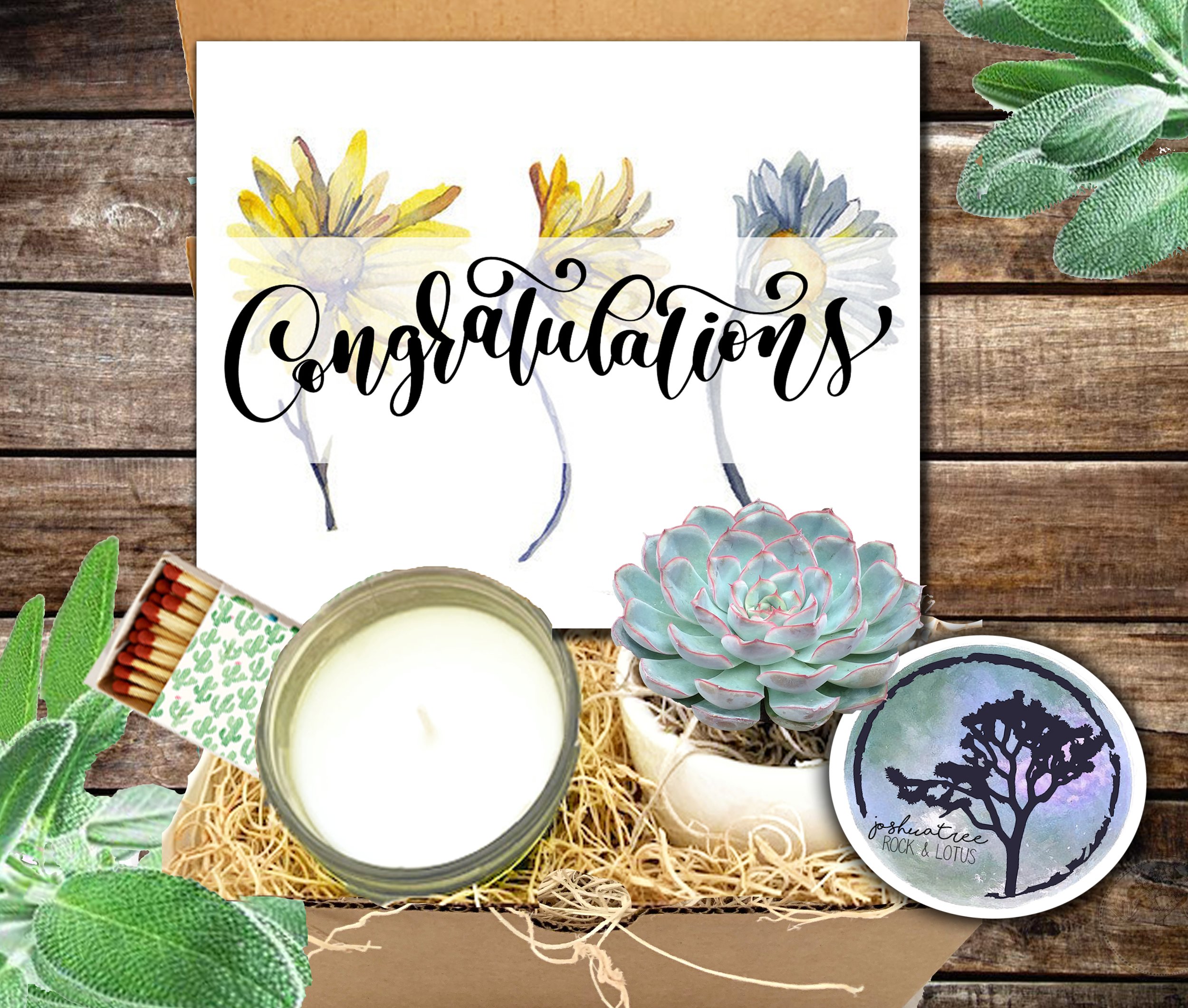 Congratulations -  Succulent, Card &amp; Candle Gift Box     (Daisy Card)