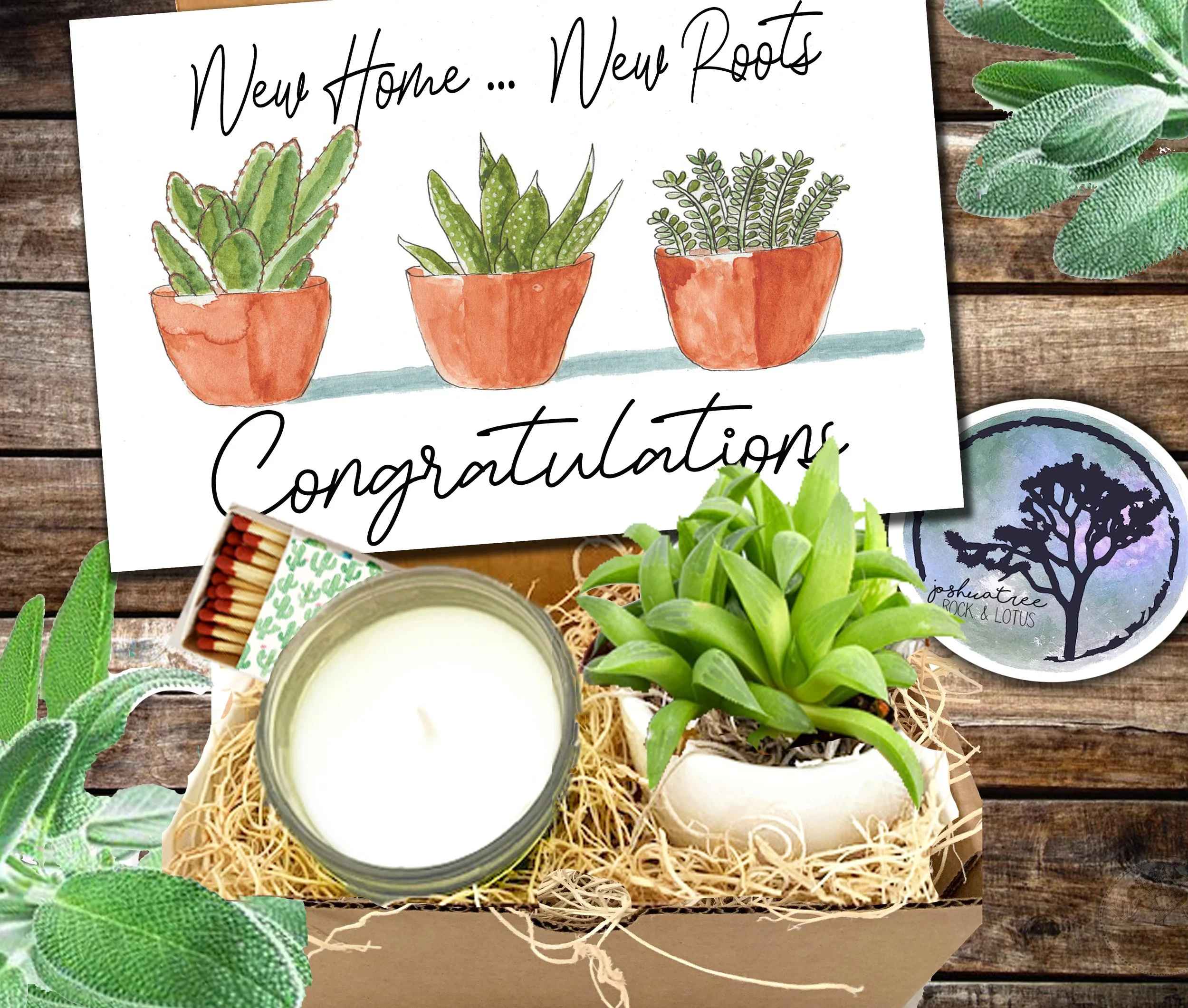 New Home New Roots - Congratulations -  Succulent, Card &amp; Candle Gift Box