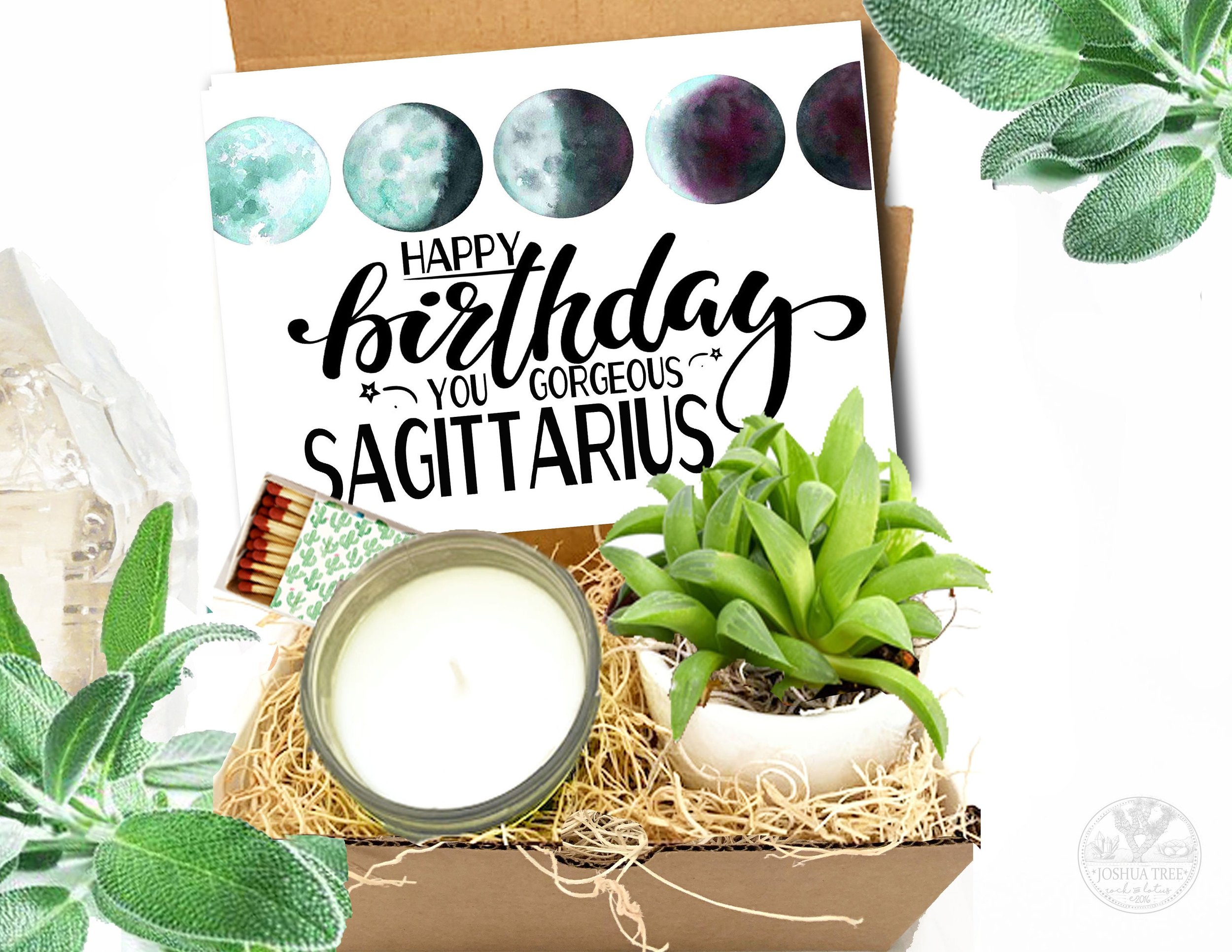 Sagittarius Live Succulent Gift Box - Happy Birthday Care Package for November December Birthday - Happy Birthday Box - Gift Package -zodiac