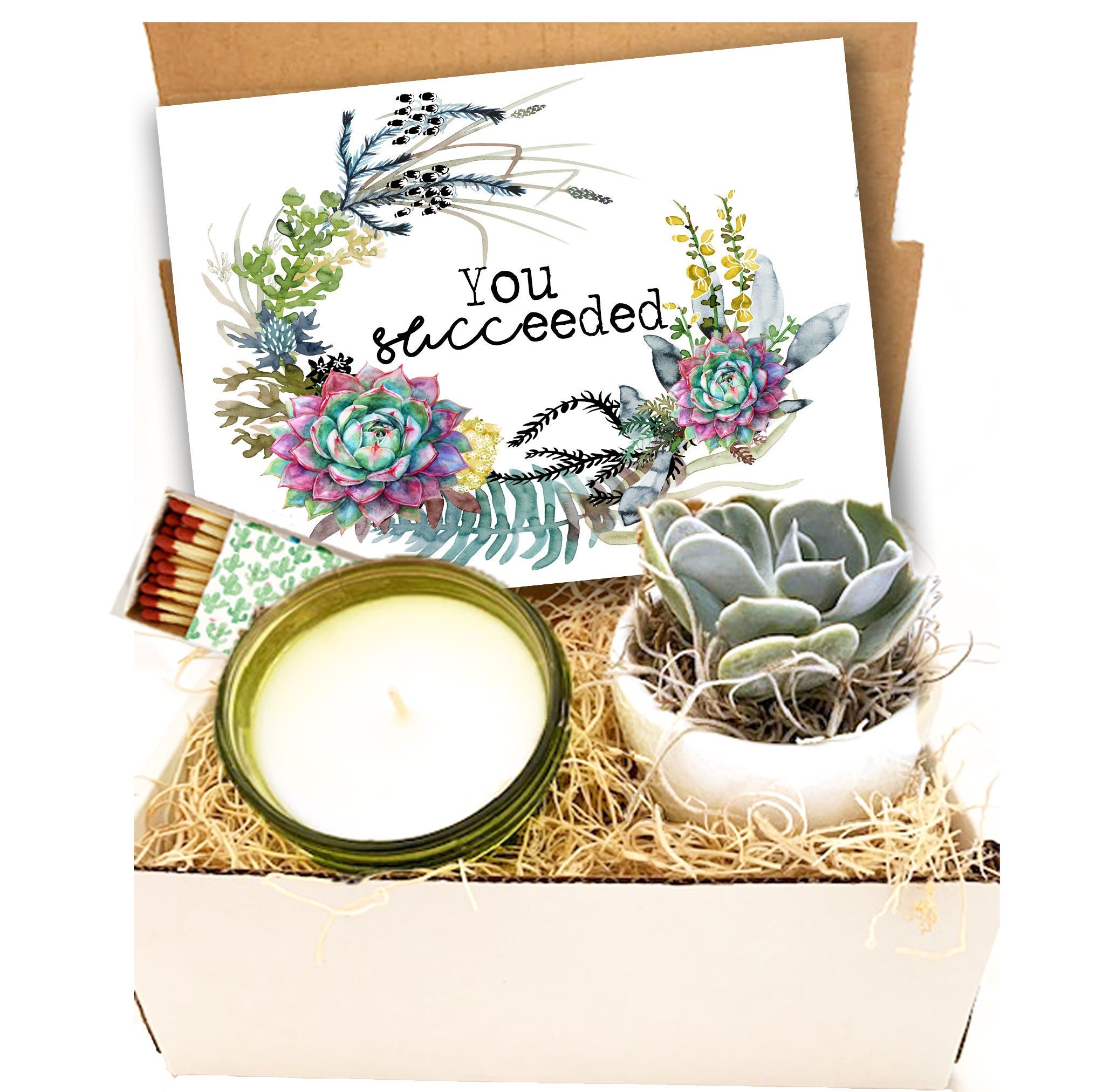 You succeeded - Succulent Gift Box - Congratulations Gift - Graduation Succulent Gifts - Congrats Grad - Succulent Care Package - Finals