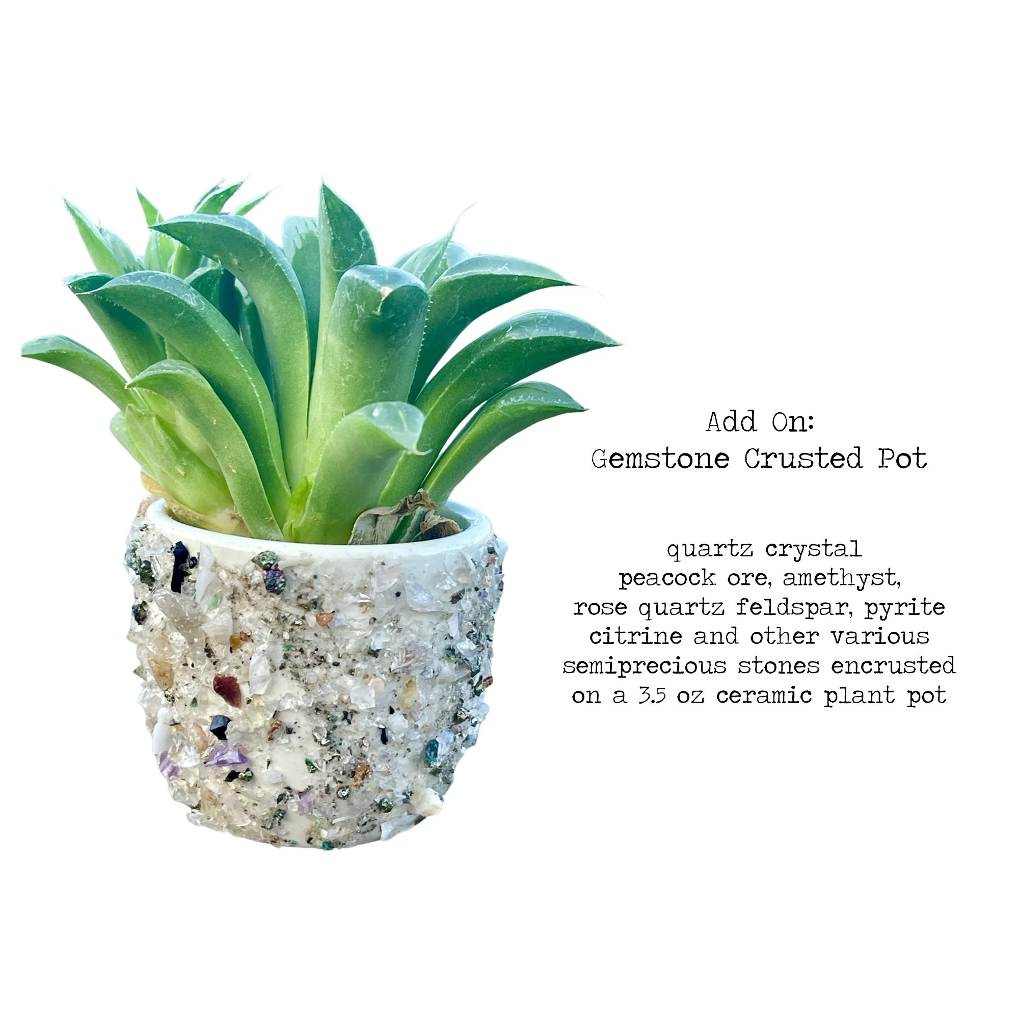 gemstone pot.jpg