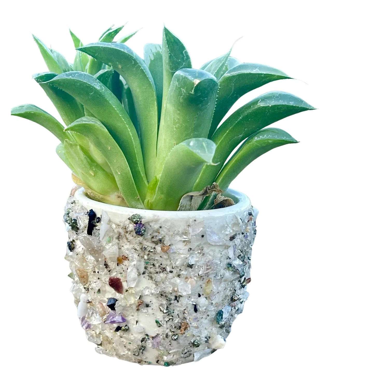 Gem Crusted Succulent Pot Upgrade