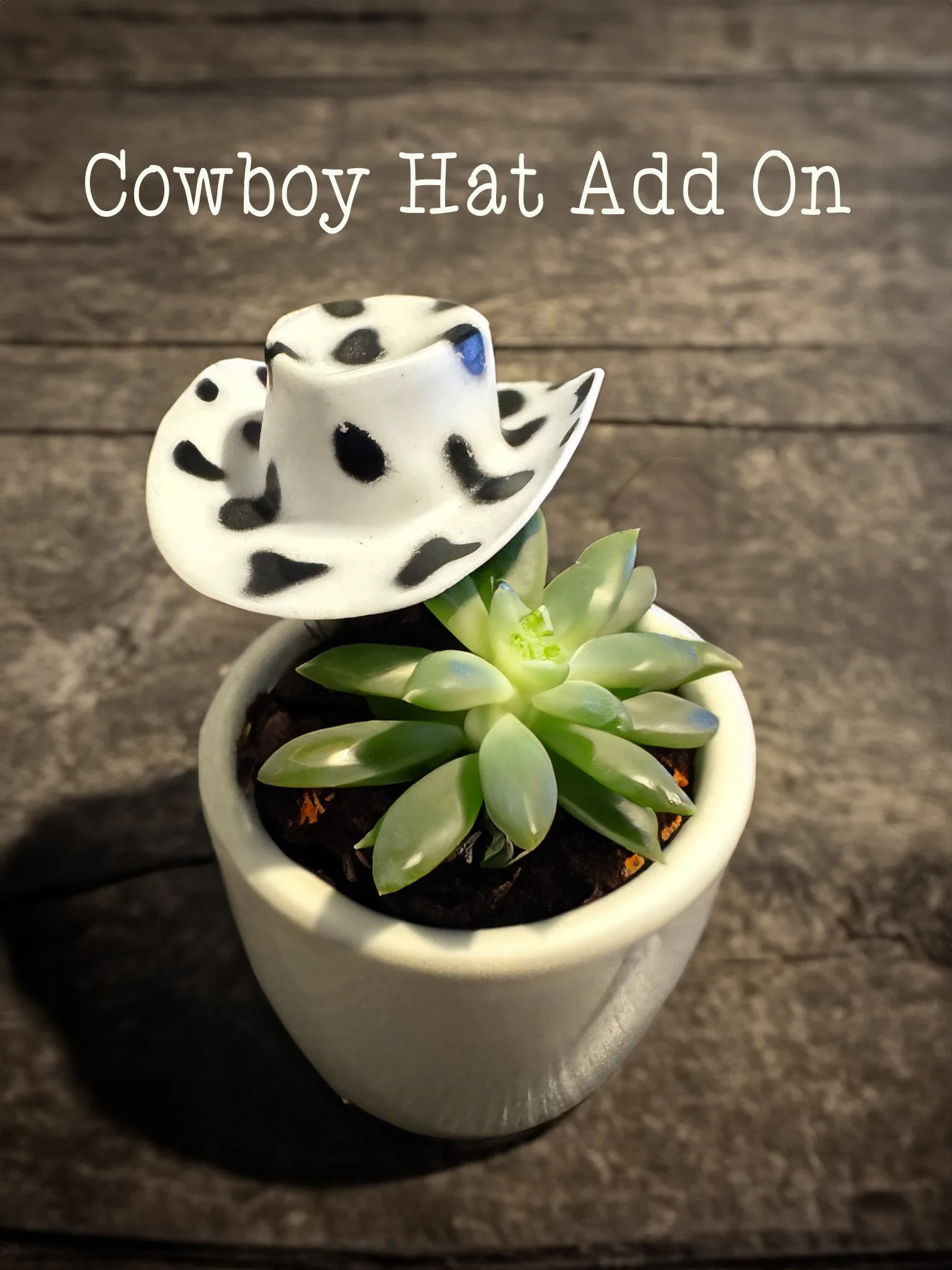 Cowboy hat for Succulent