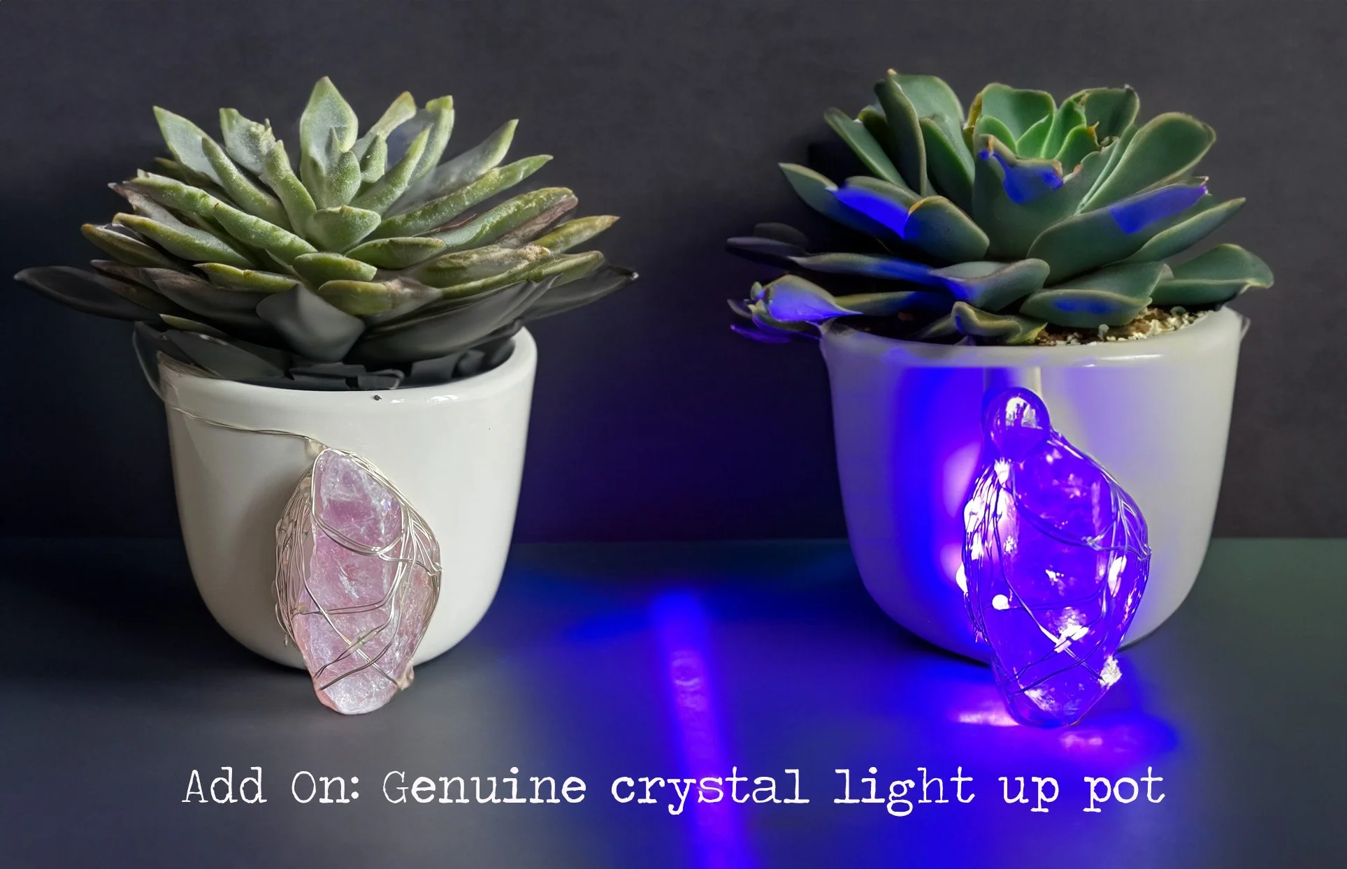 light pot.jpg