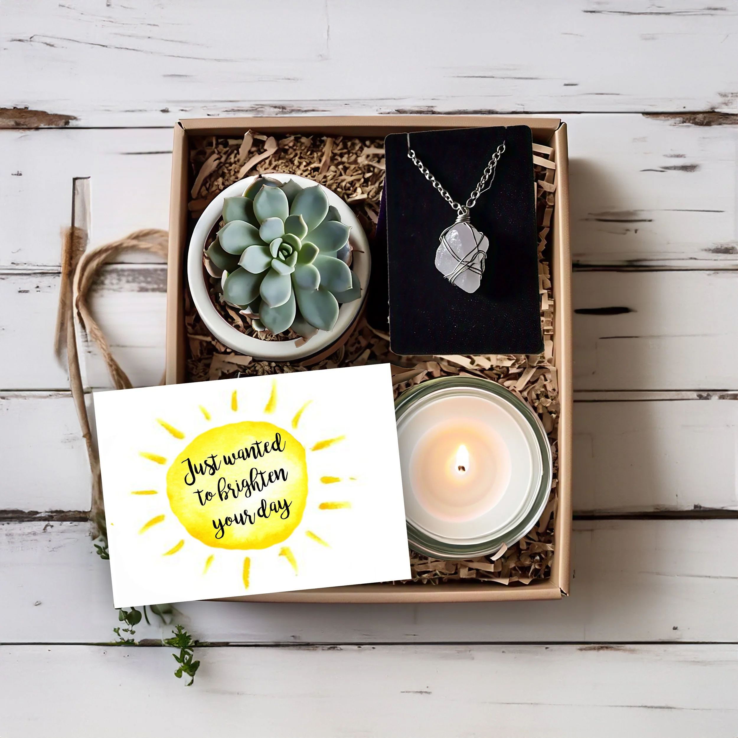 Just wanted to Brighten Your Day - Succulent Gift Box  Set