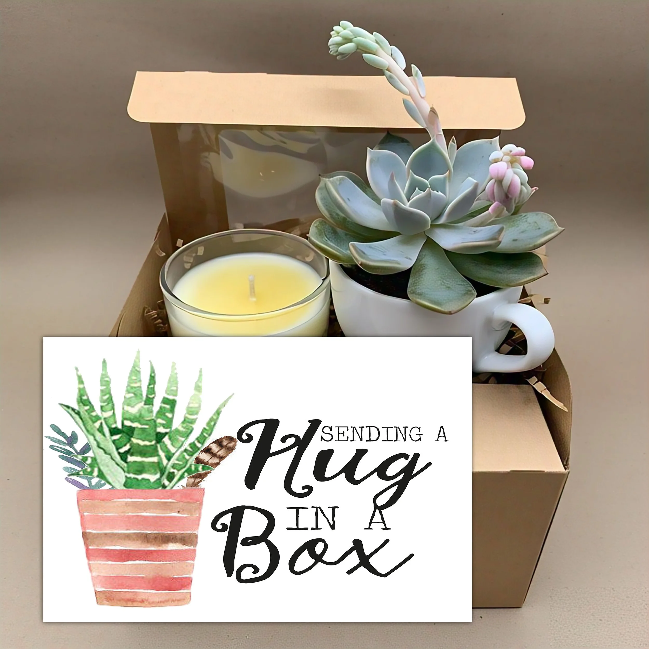 Hug In a Box - Succulent, Card and Candle Gift Box