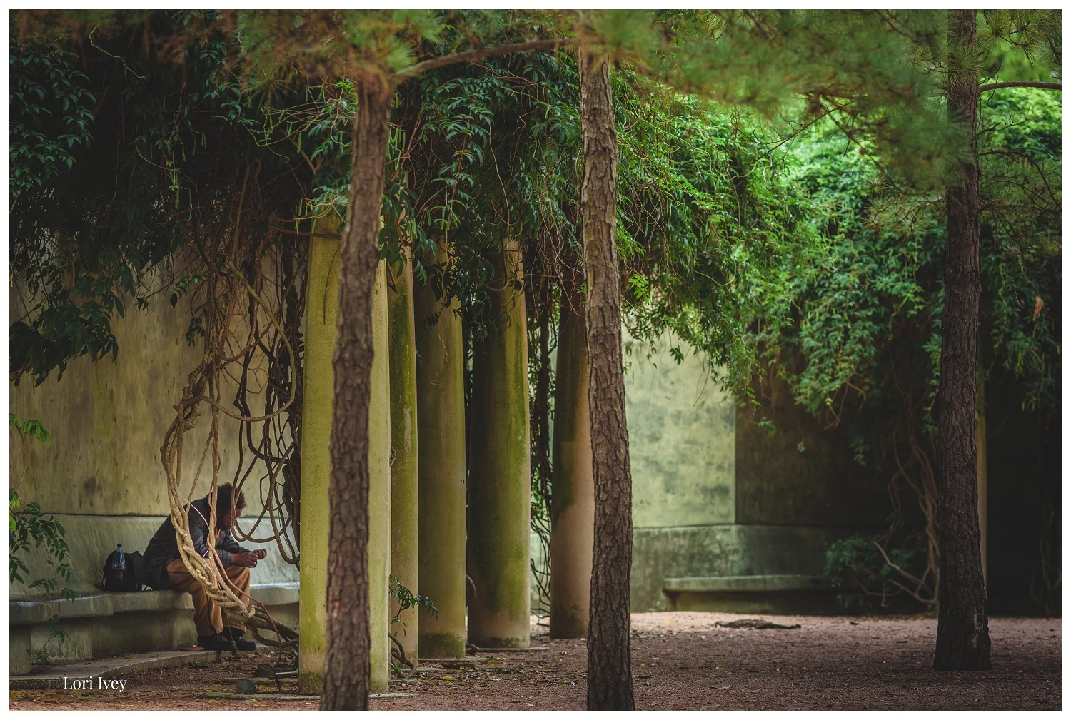 Man takes a break in the afternoon at the Japanese Gardens