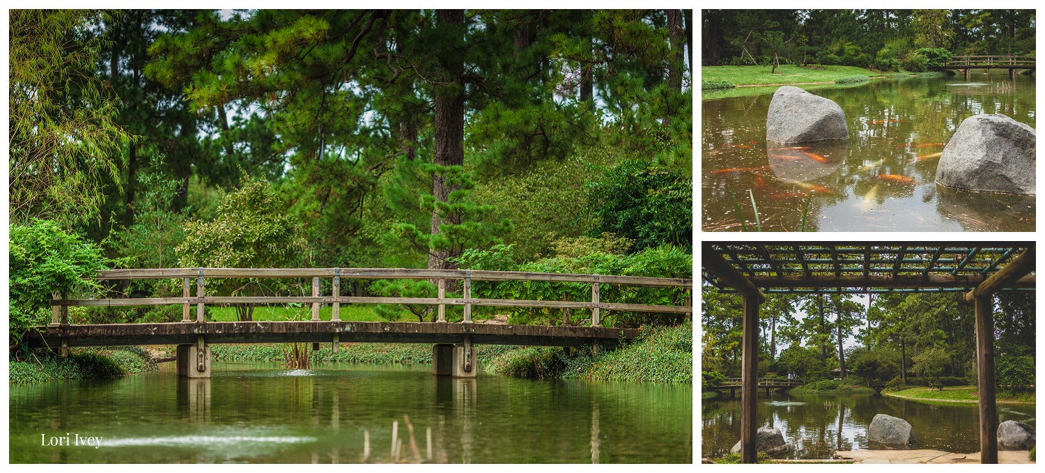 Bridge over koi poind at the Japanese Gardens, Hermann Park