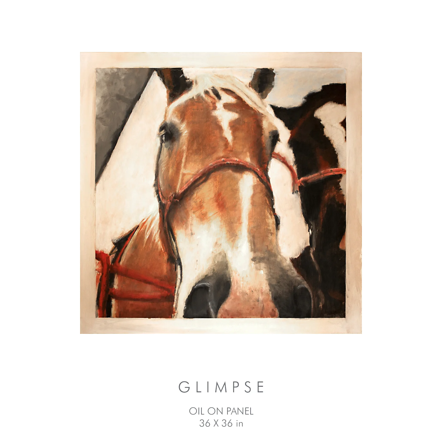 Glimpse