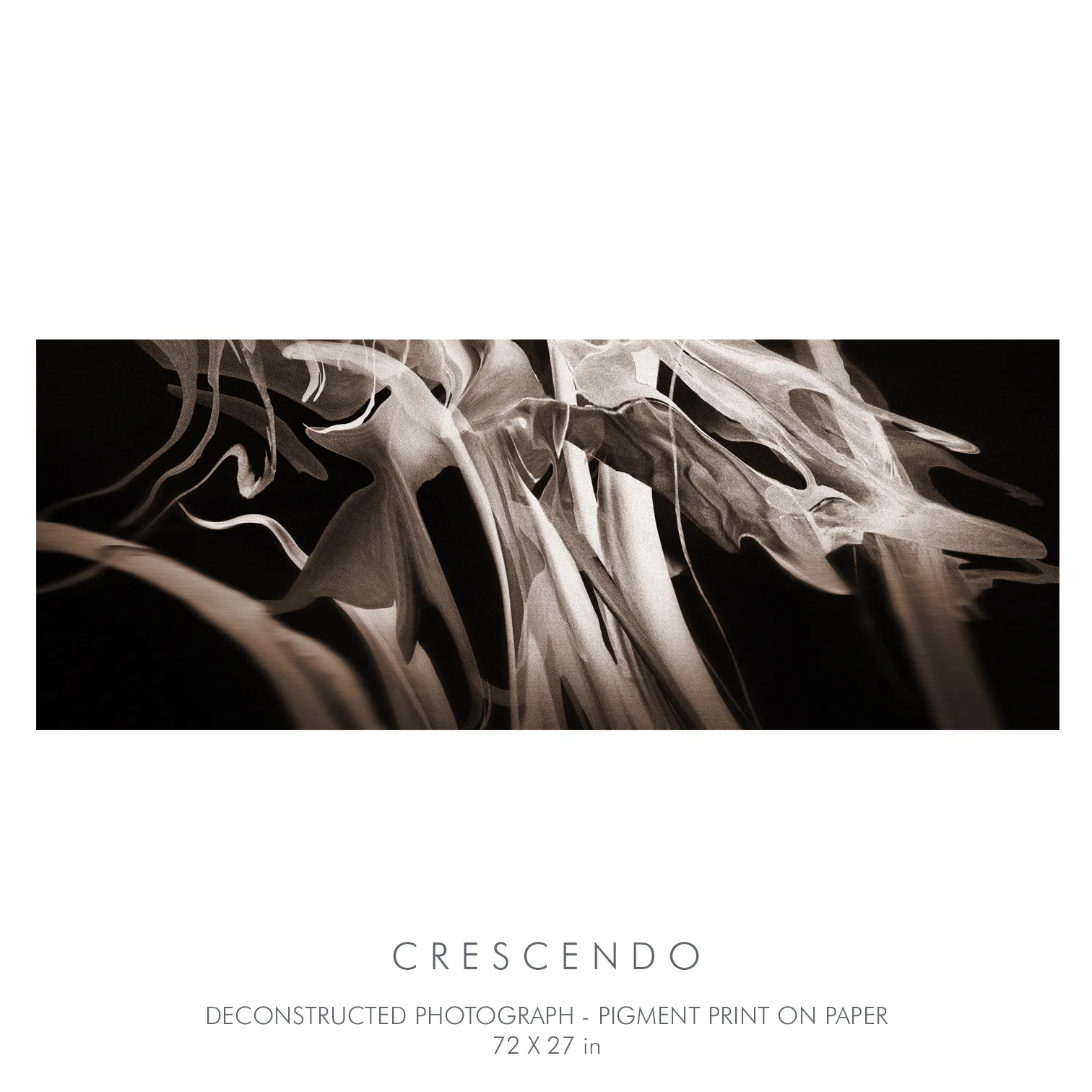 Deconstructed photograph Pigment print on paper 72 X 27 in