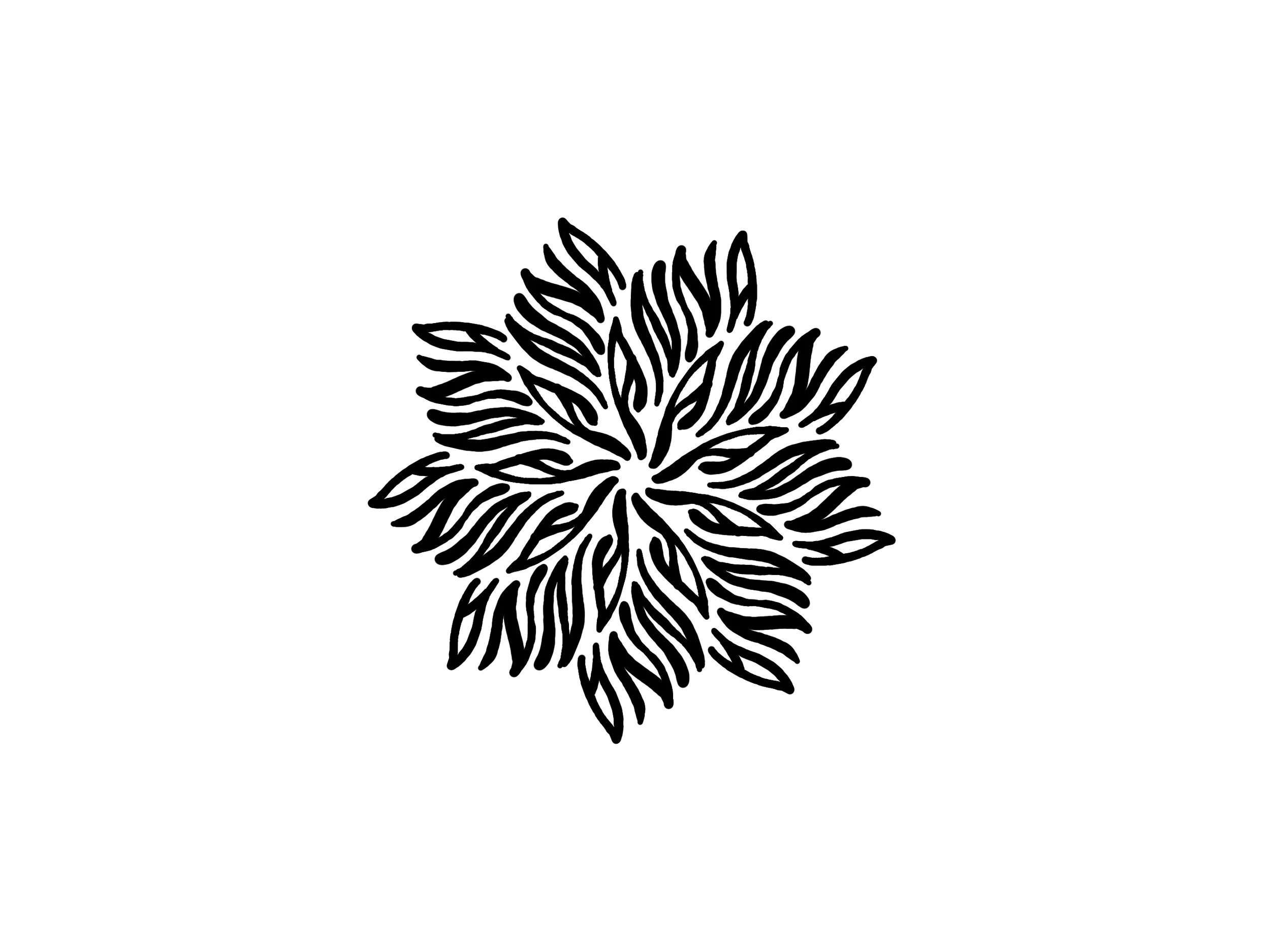 2017-11-14 01.27.46.jpg