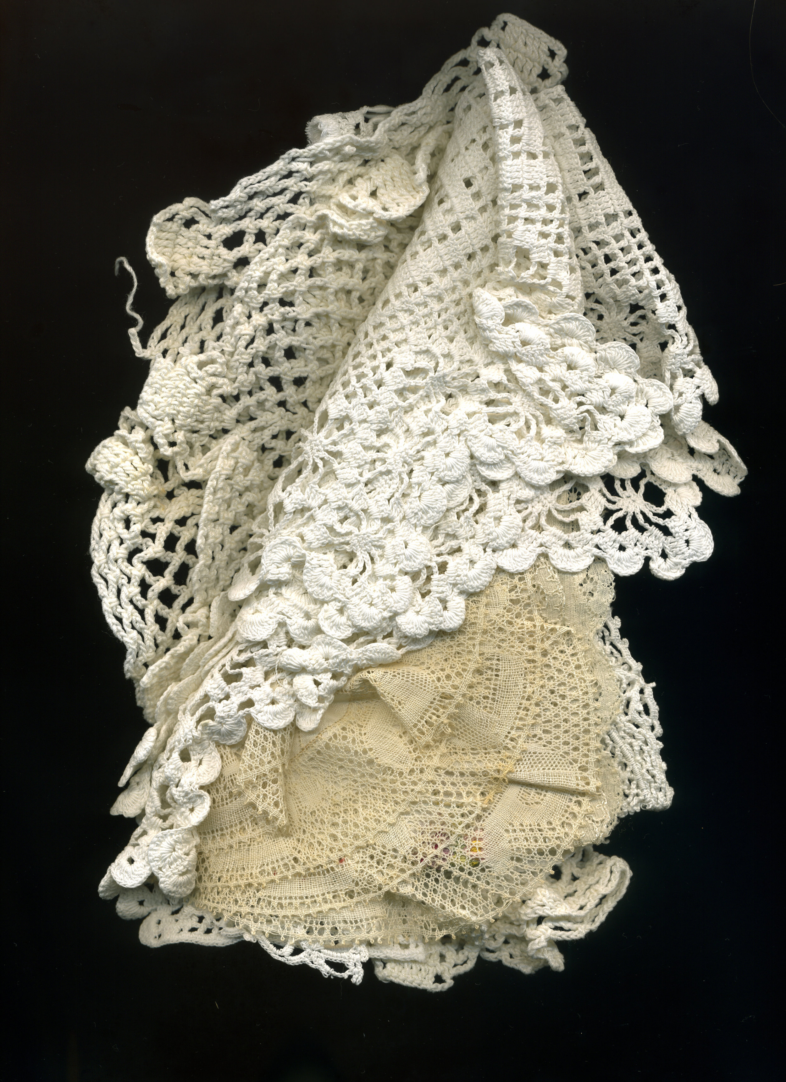 Web Butterfly Scan 58.jpg