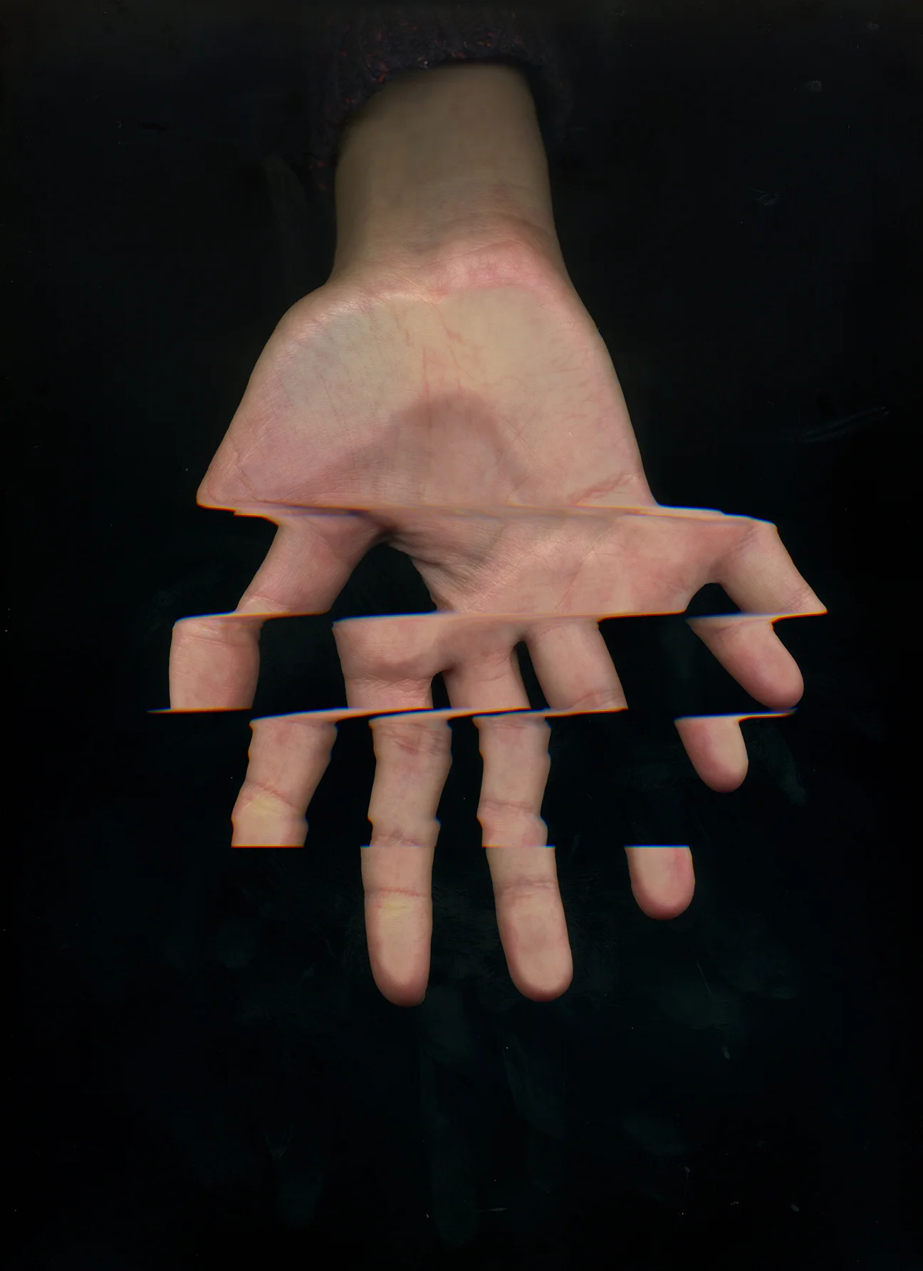 Web Butterfly Scan 12.jpg