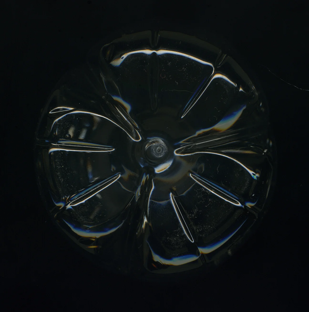 Web Butterfly Scan 24.jpg