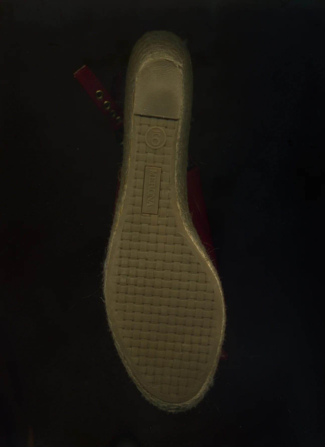 Web Butterfly Scan 71.jpg