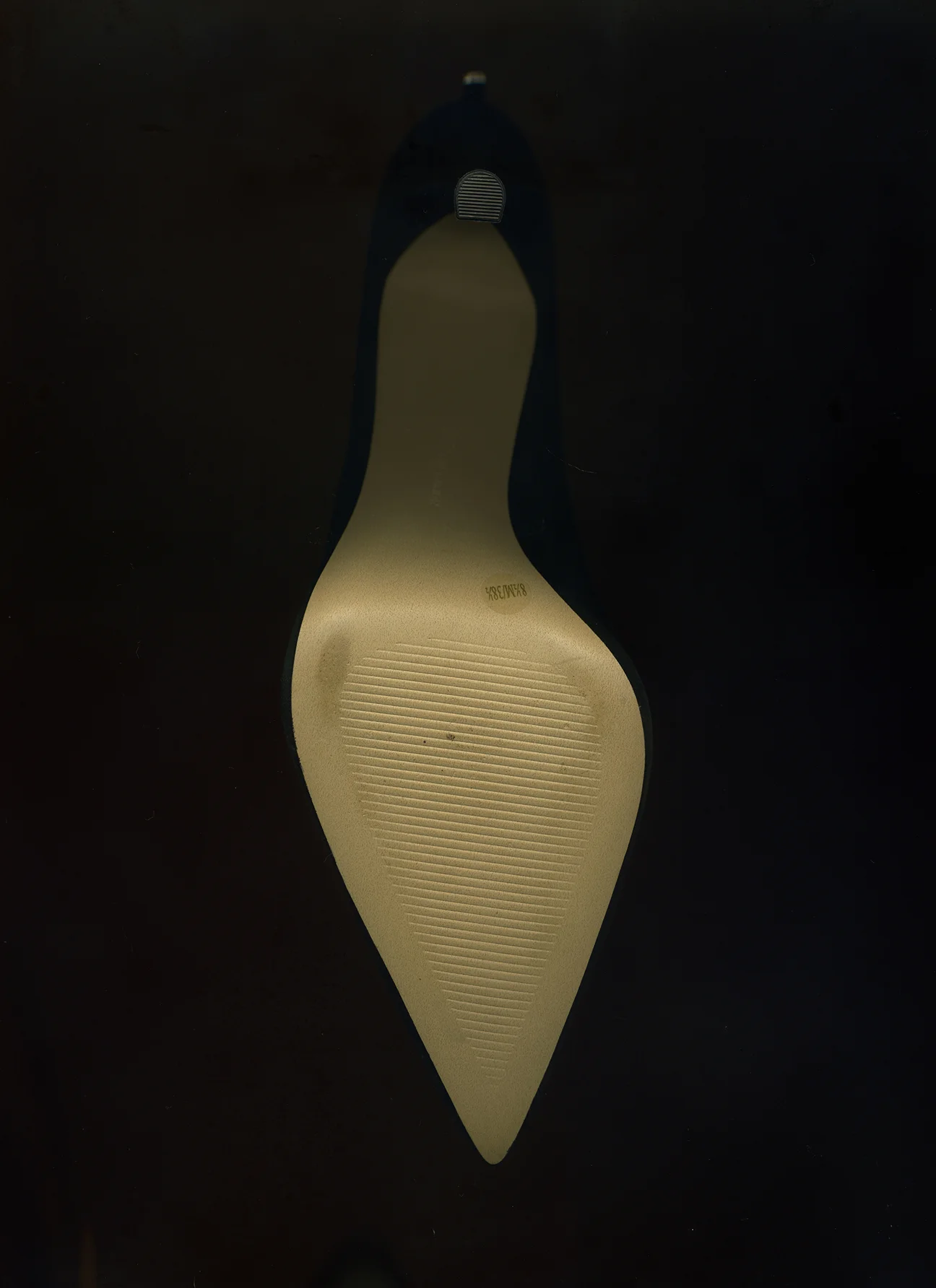 Web Butterfly Scan 72.jpg