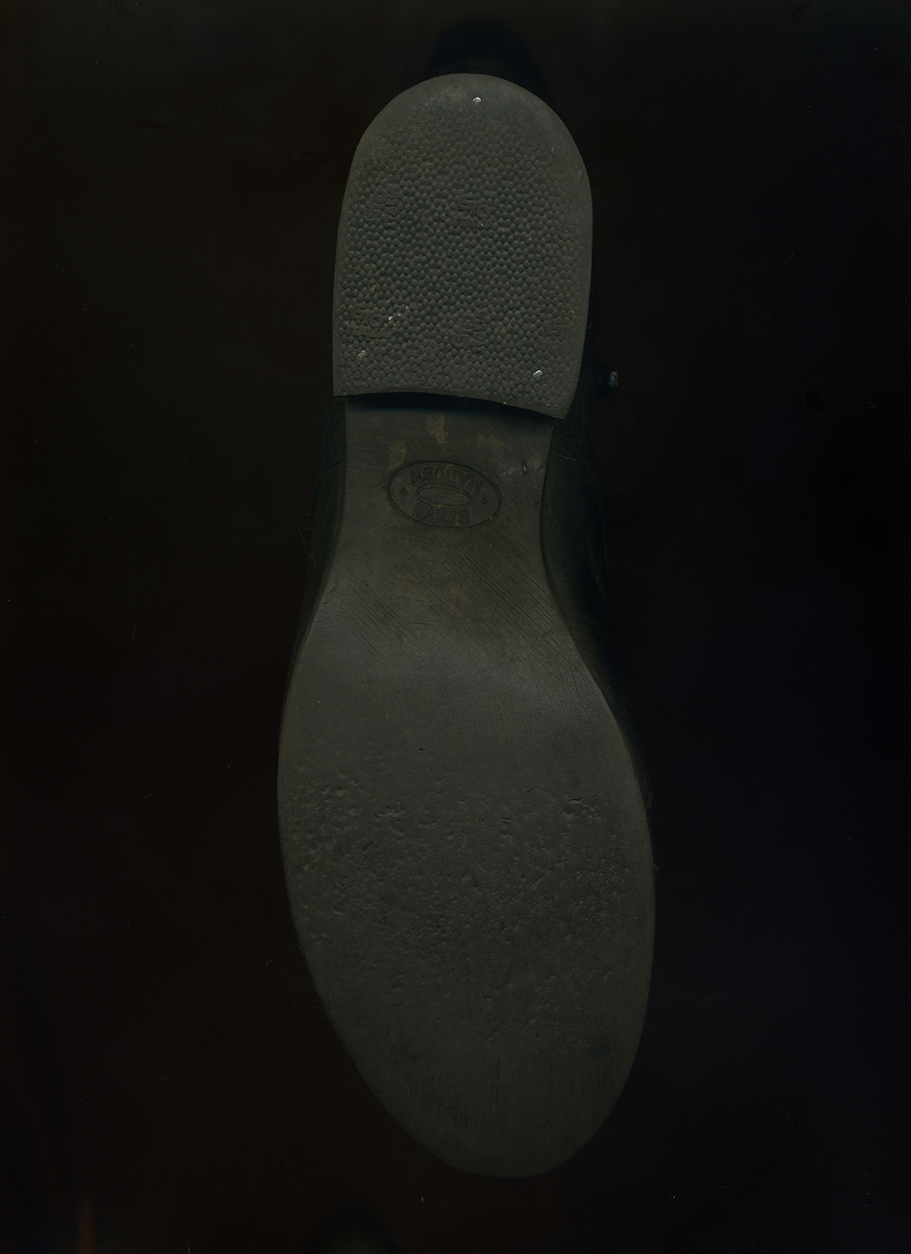 Web Butterfly Scan 73.jpg