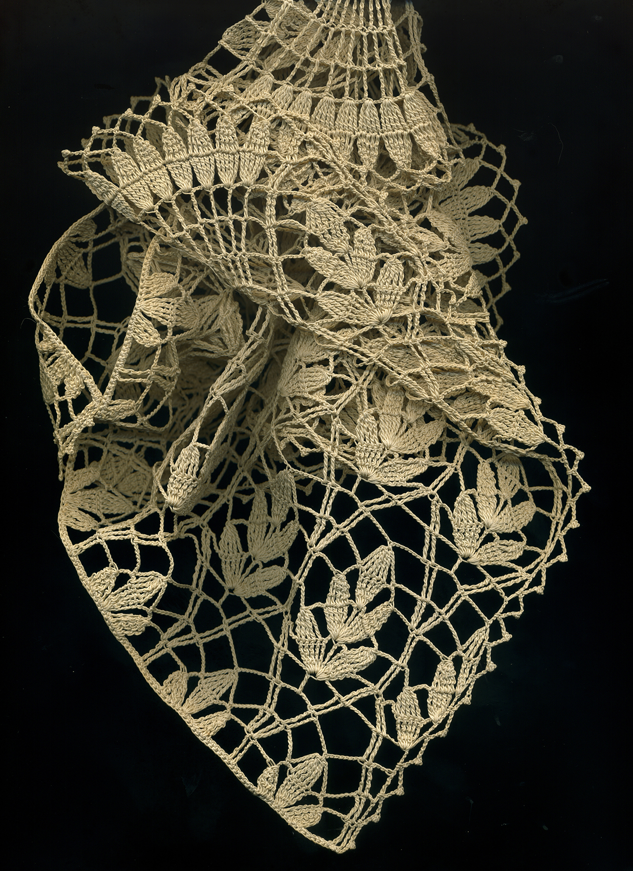 Web Butterfly Scan 14.jpg