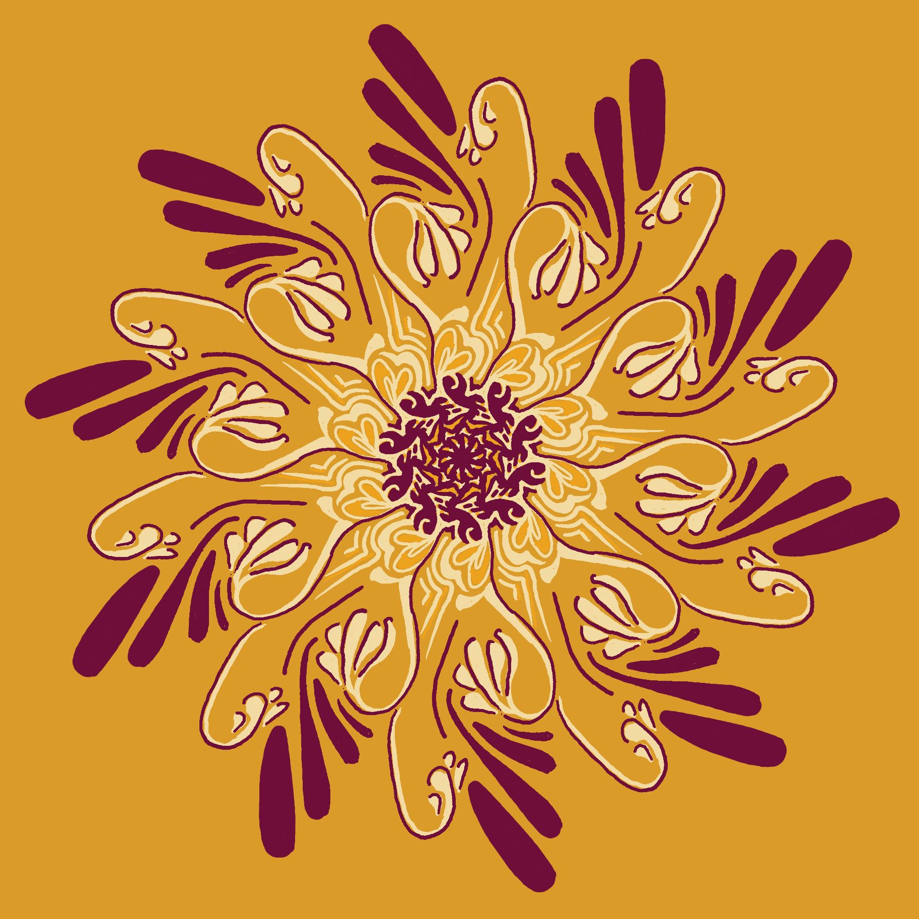 2017-11-14 01.48.40-1.jpg