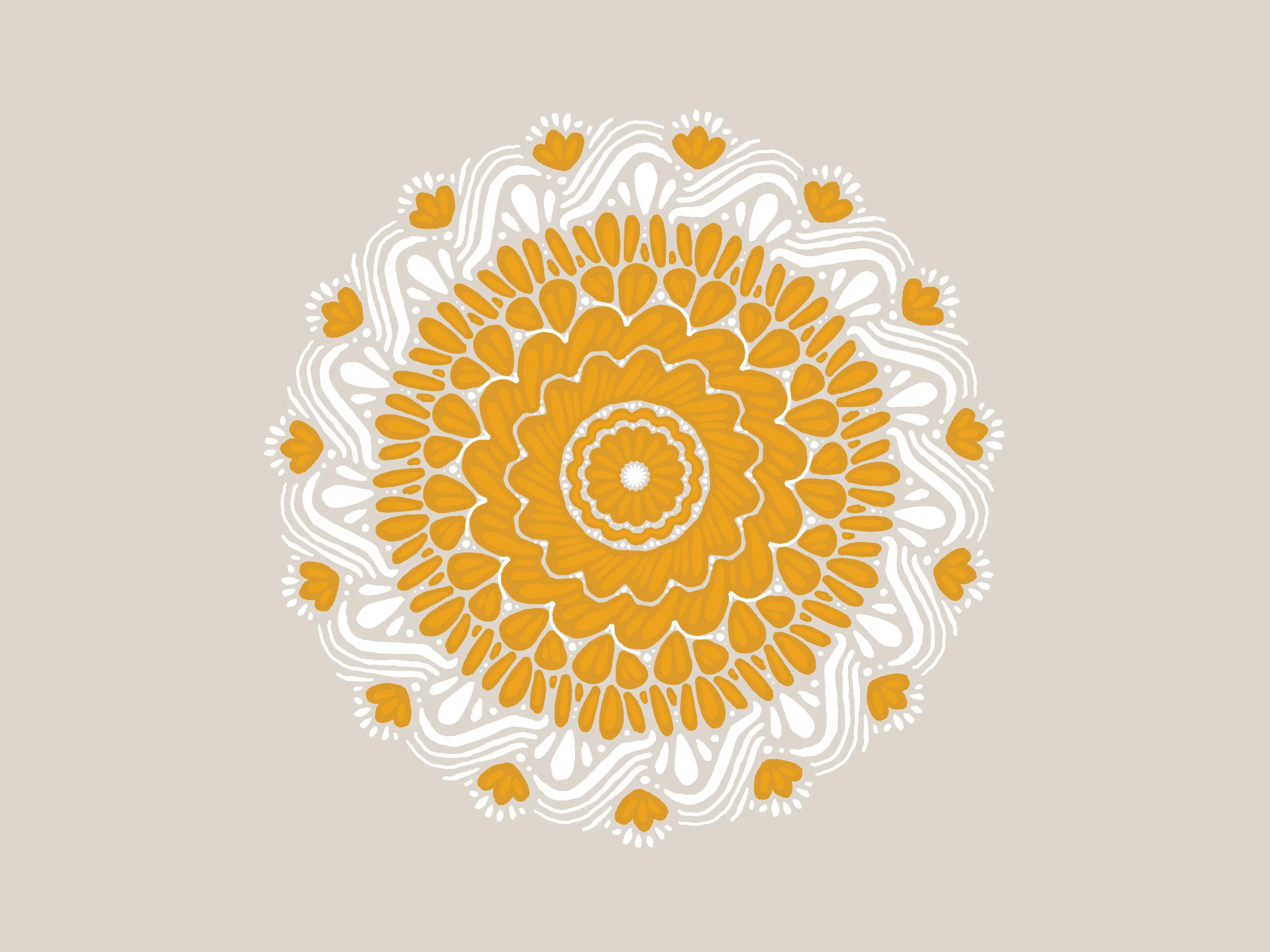 2017-11-14 01.52.28.jpg