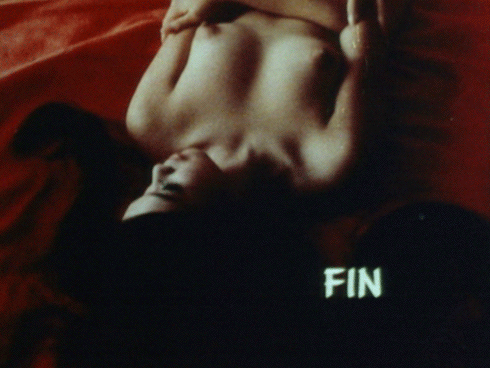 Fin / GIF