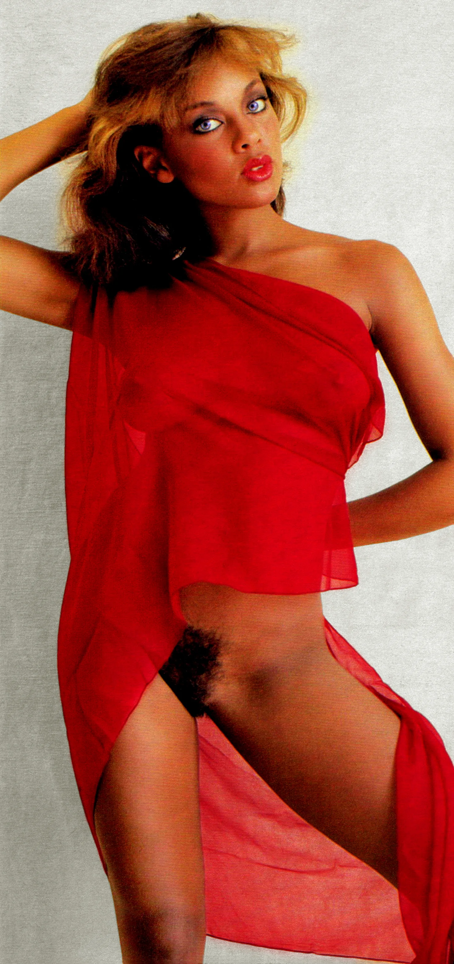 Vanessa williams penthouse