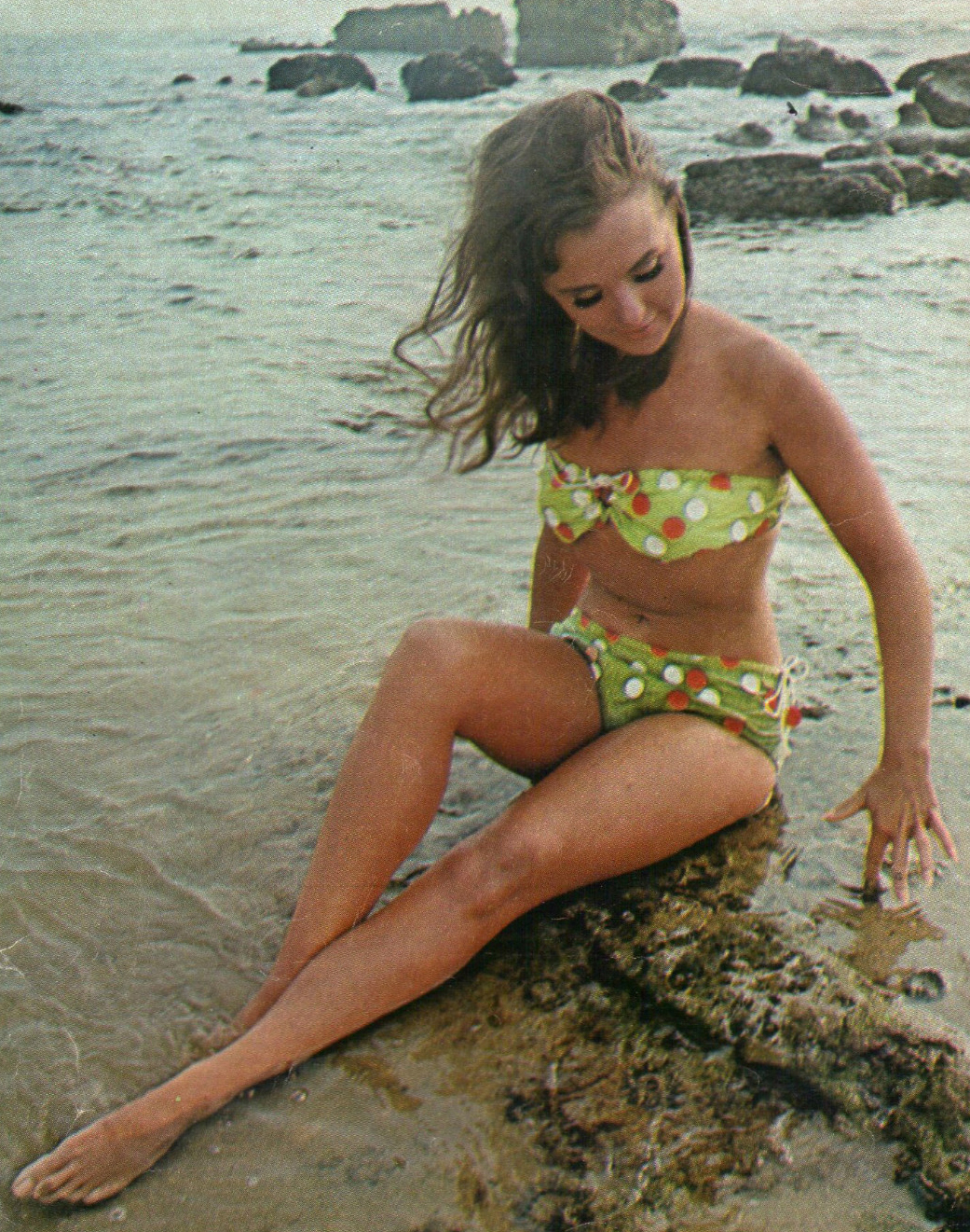 20 Sexy Pics of Dawn Wells aka Mary Ann from Gilligan's Island.
