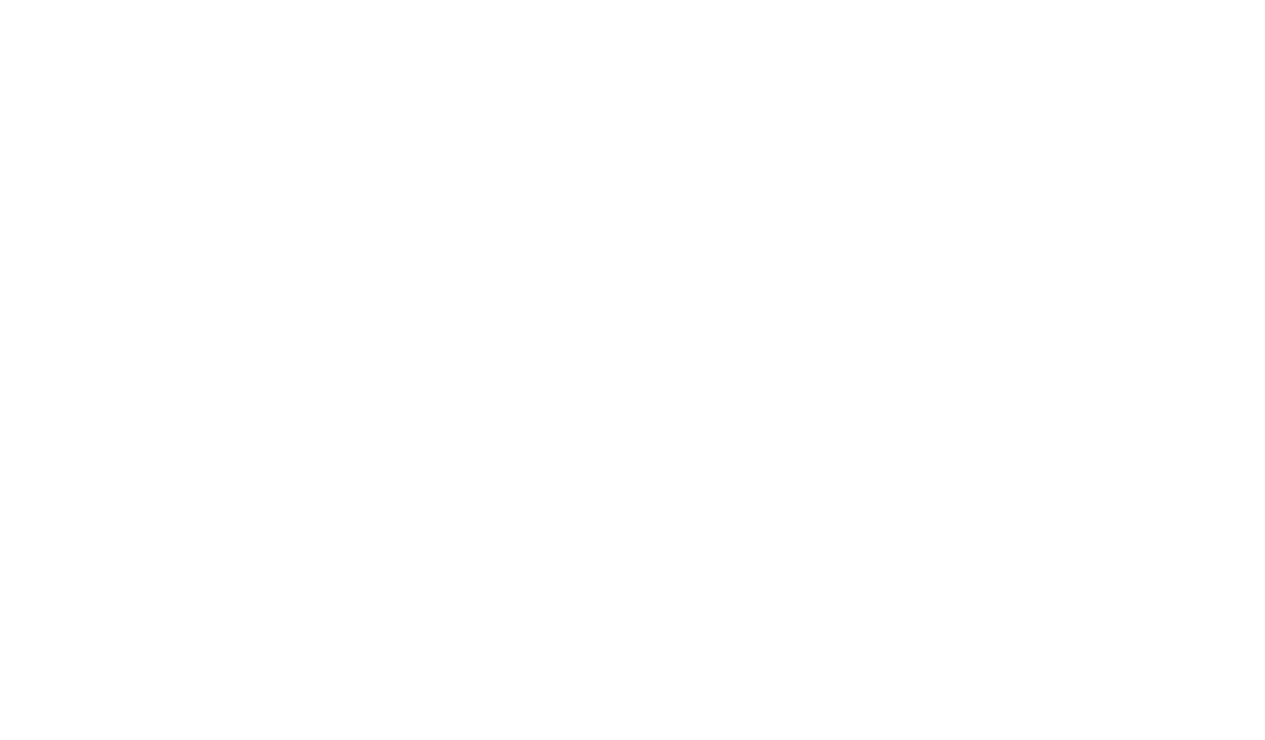  Boulevard Animal Hospital - Veterinarian in Athens, GA