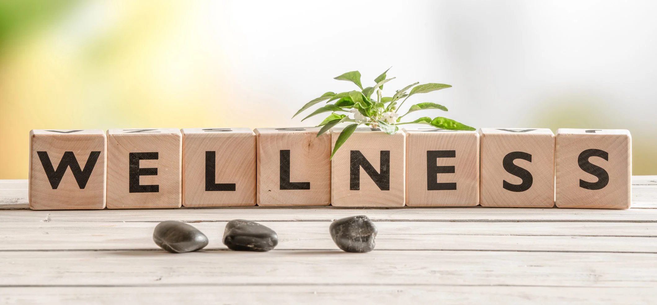 Wellness1.jpg