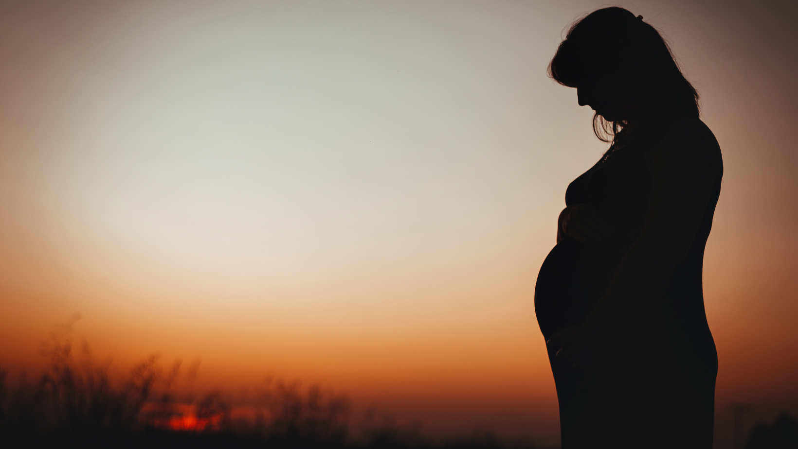 Trust in Practice | Perinatal and Pediatric Care