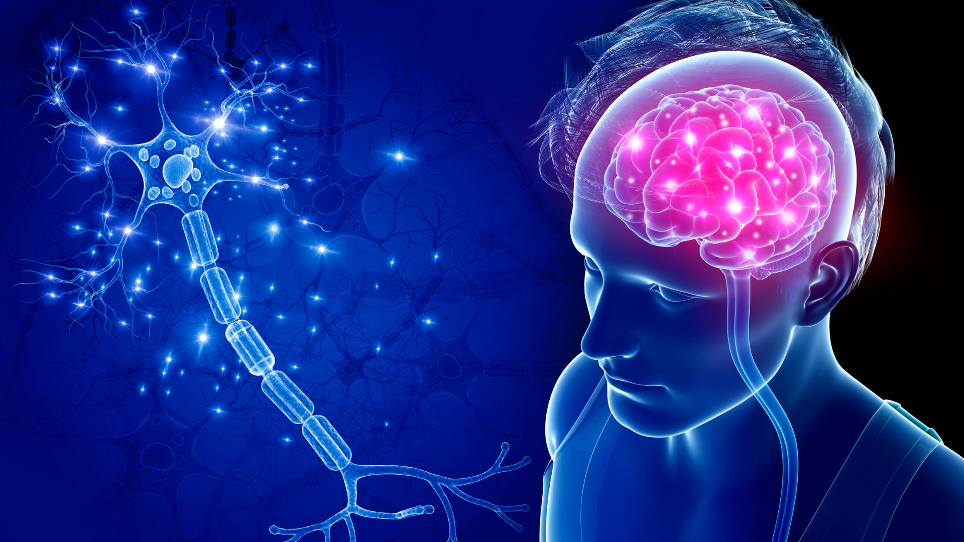 How Chiropractic Adjustments Improve Body Function