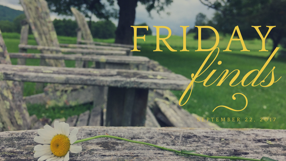 FridayFindsHeader.png