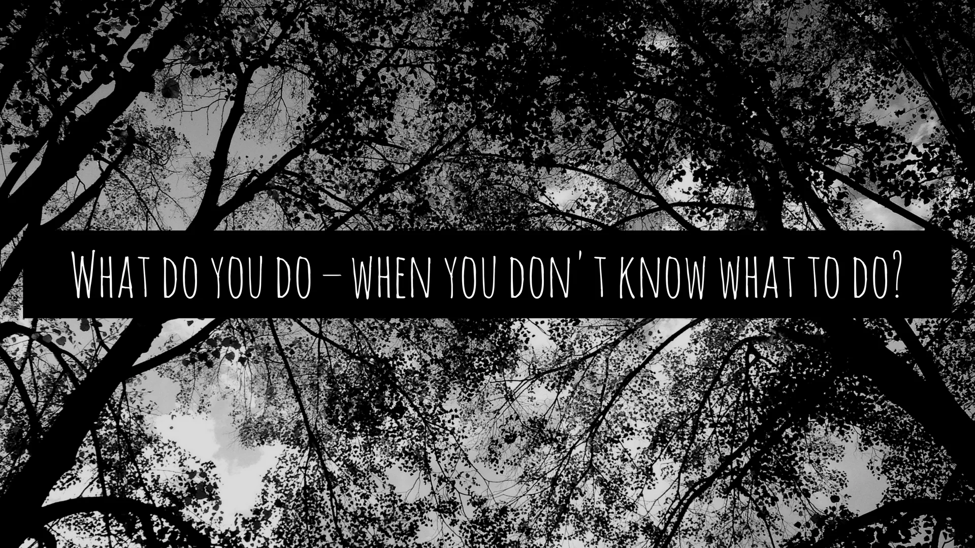 What do you do – when you don't know what to do-.jpg
