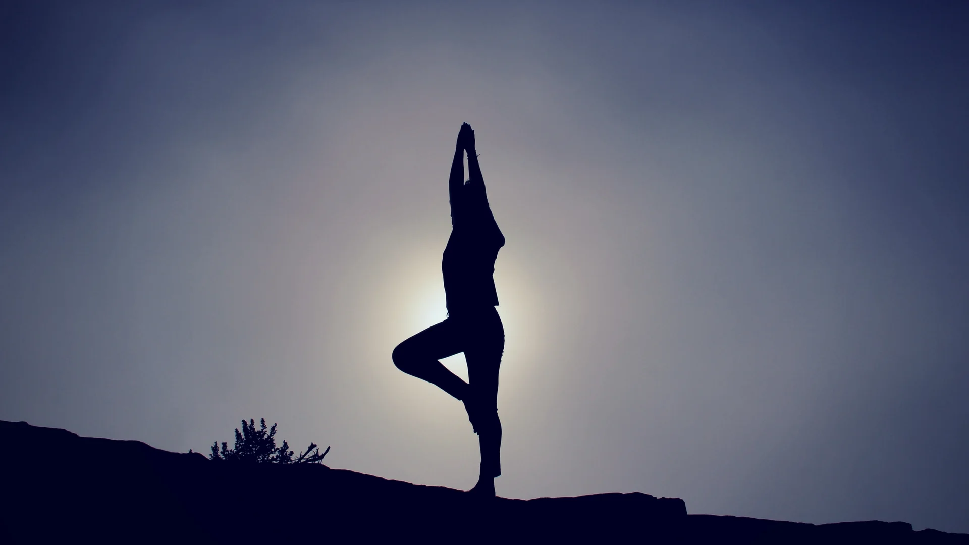 yogarevised.jpg
