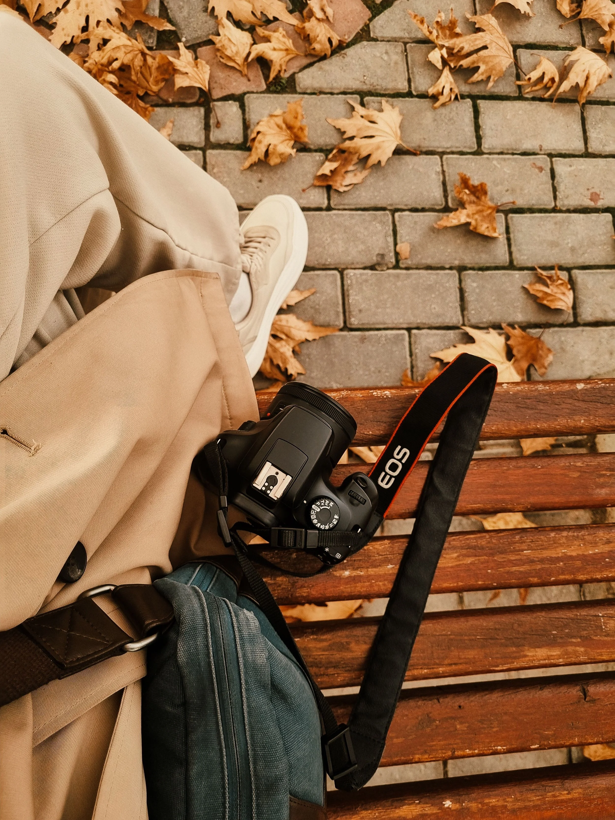 A photographer’s camera and gear rest on a park bench during a fall session.