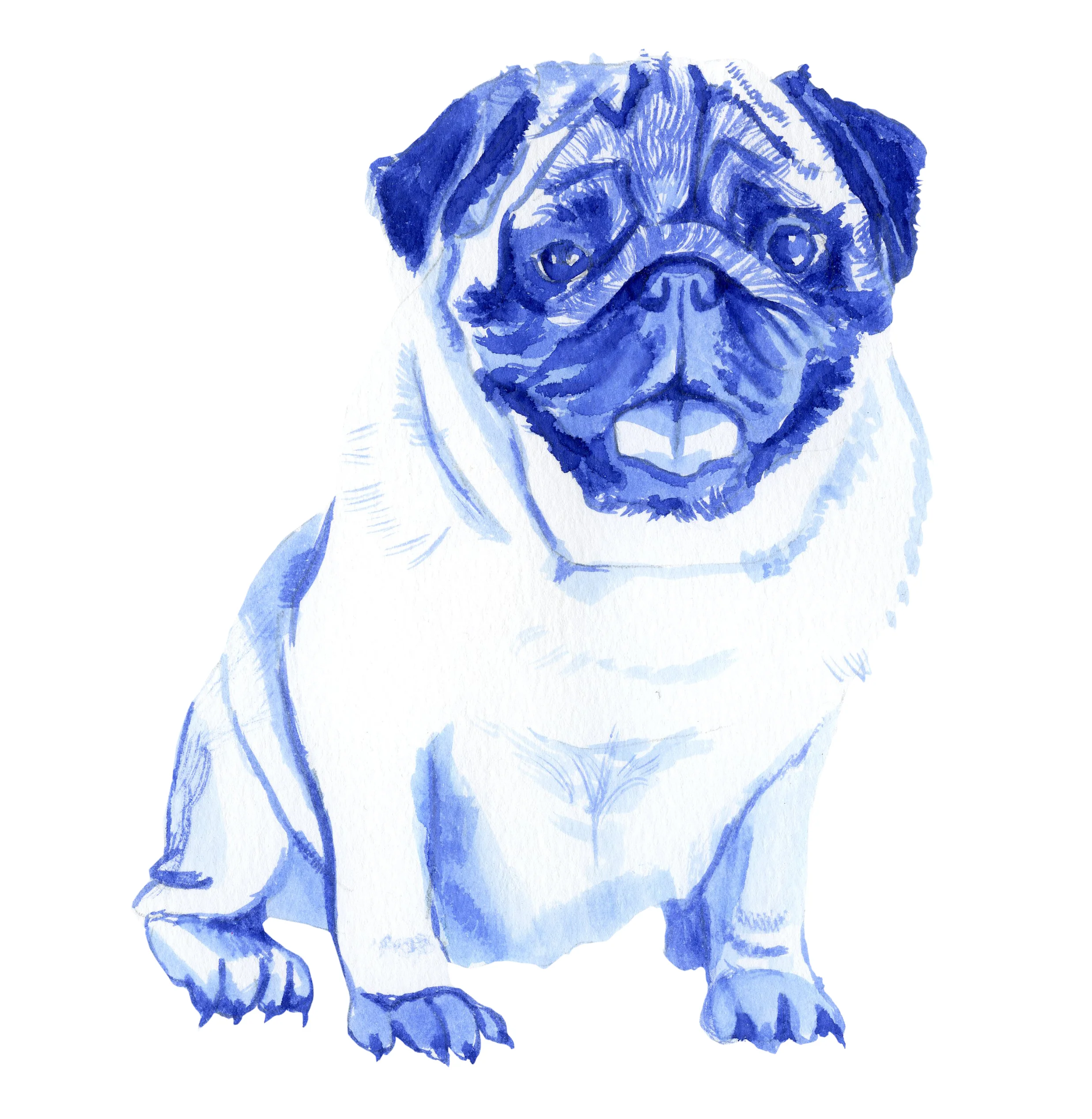 pugaczowa.jpg