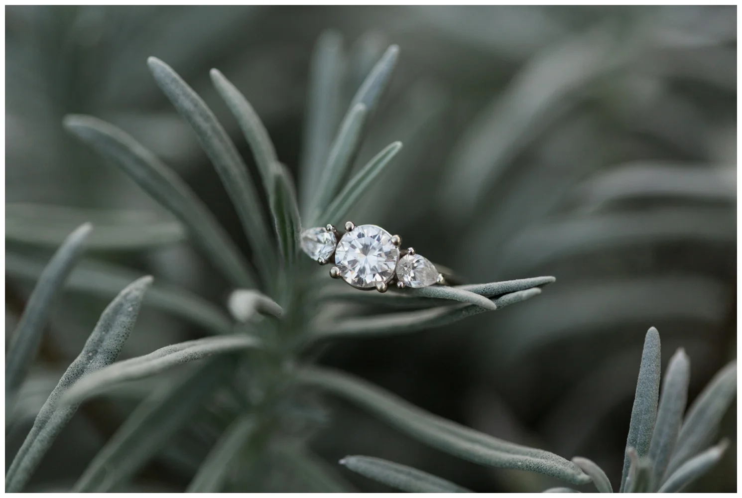 Cross Keys Vineyards Engagement Pictures