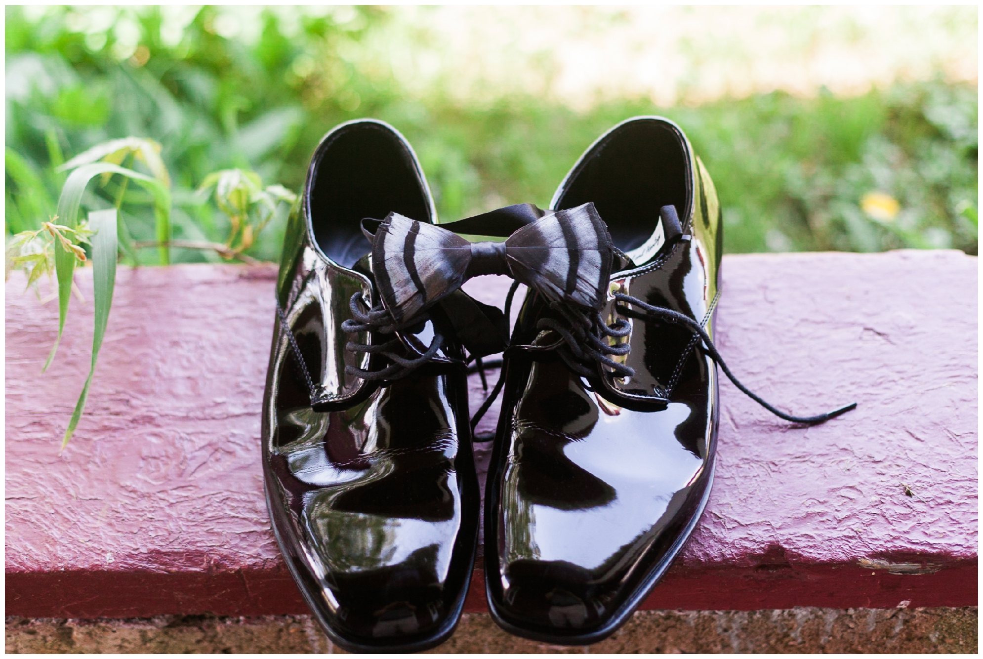 200-person Highland County Virginia mountaintop wedding in spring with large bridal party