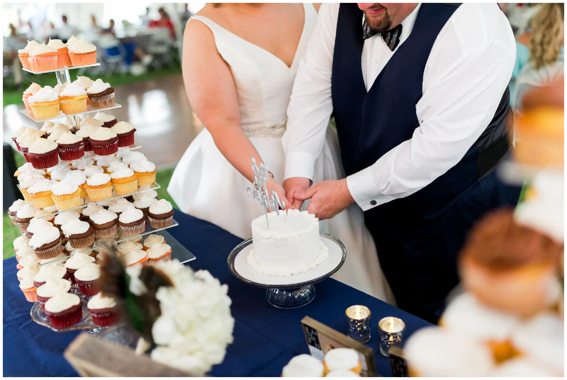 200-person Highland County Virginia mountaintop wedding in spring with large bridal party
