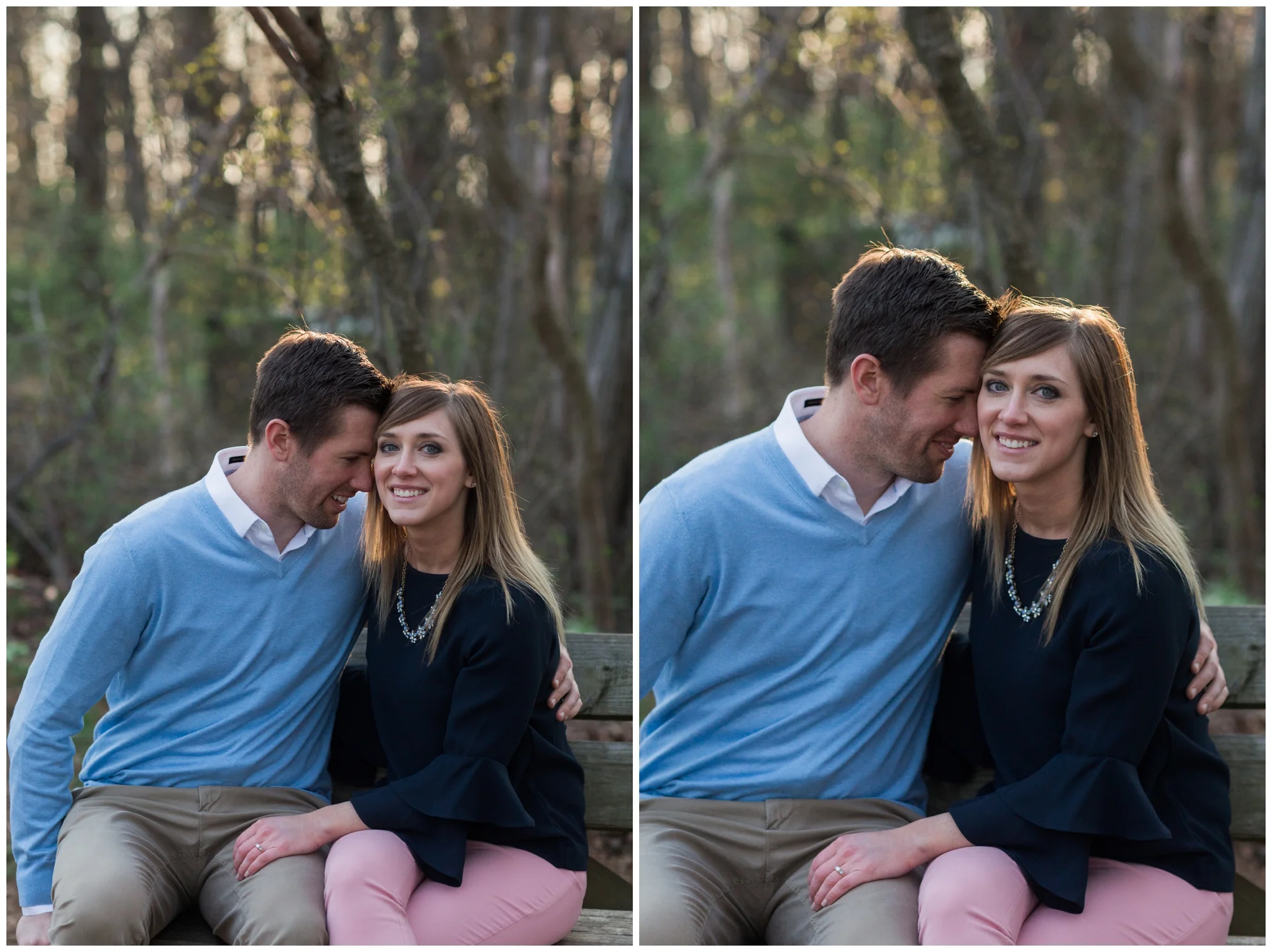 Spring engagement session at Bears Den at Bluemont, VA with two dogs